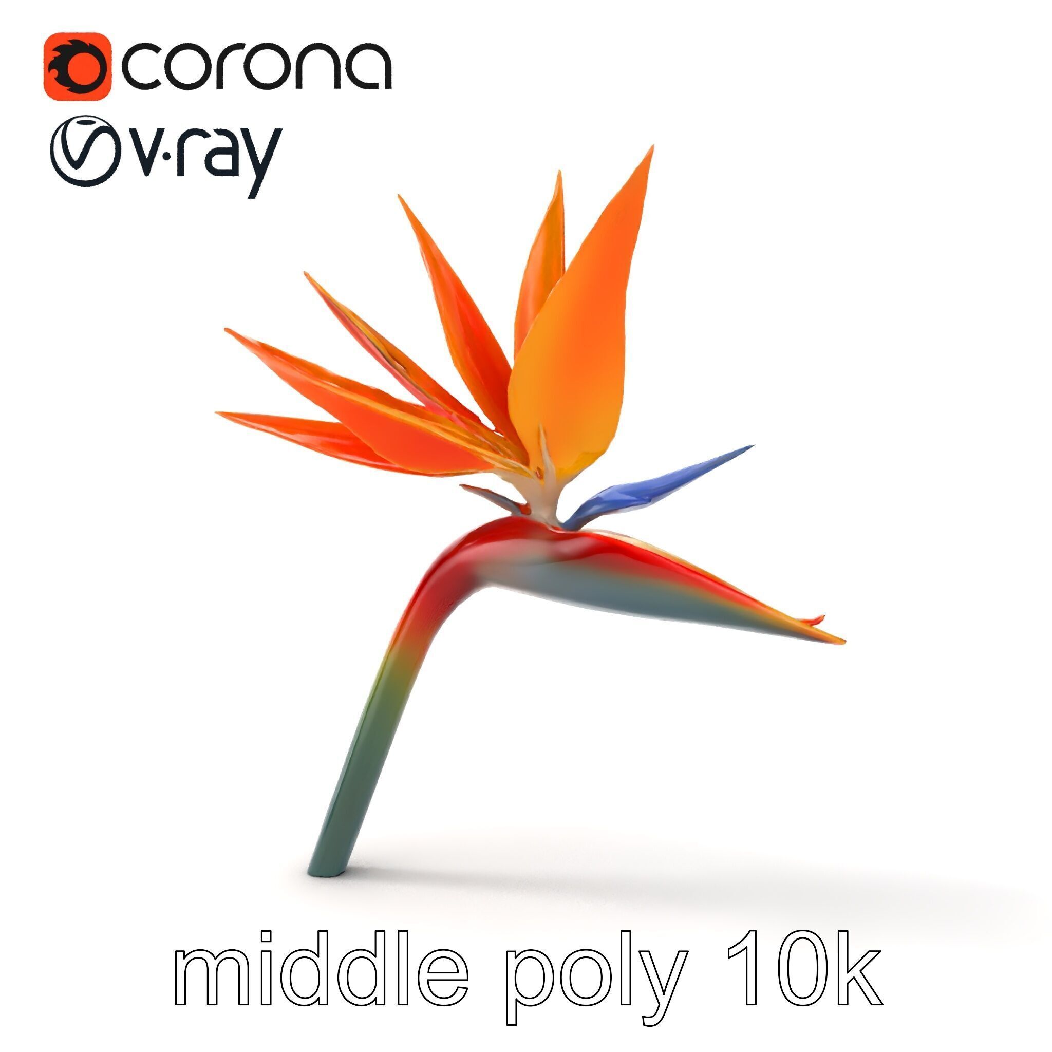 Strelitzia Bicolor Gradient Petal Sculpture Model Pack Low-poly 3D model_22