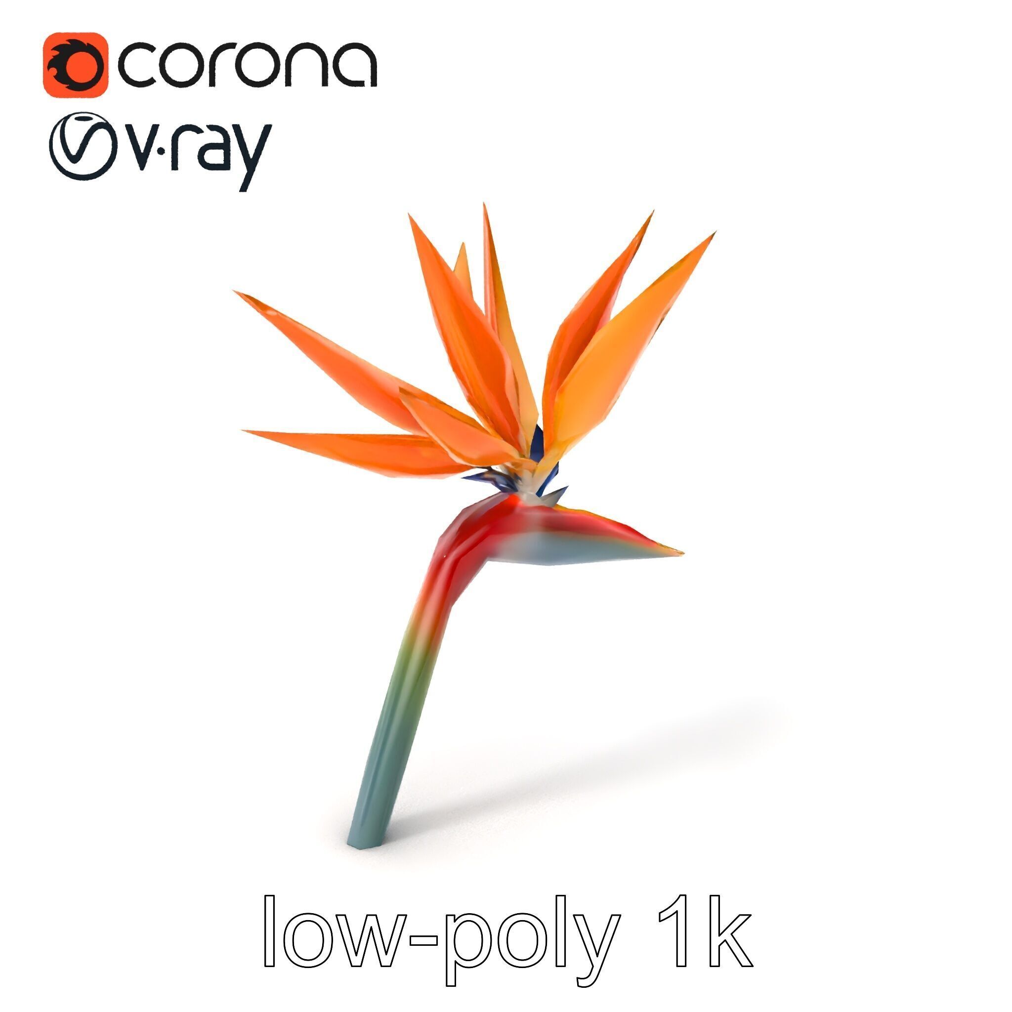 Strelitzia Bicolor Gradient Petal Sculpture Model Pack Low-poly 3D model_4