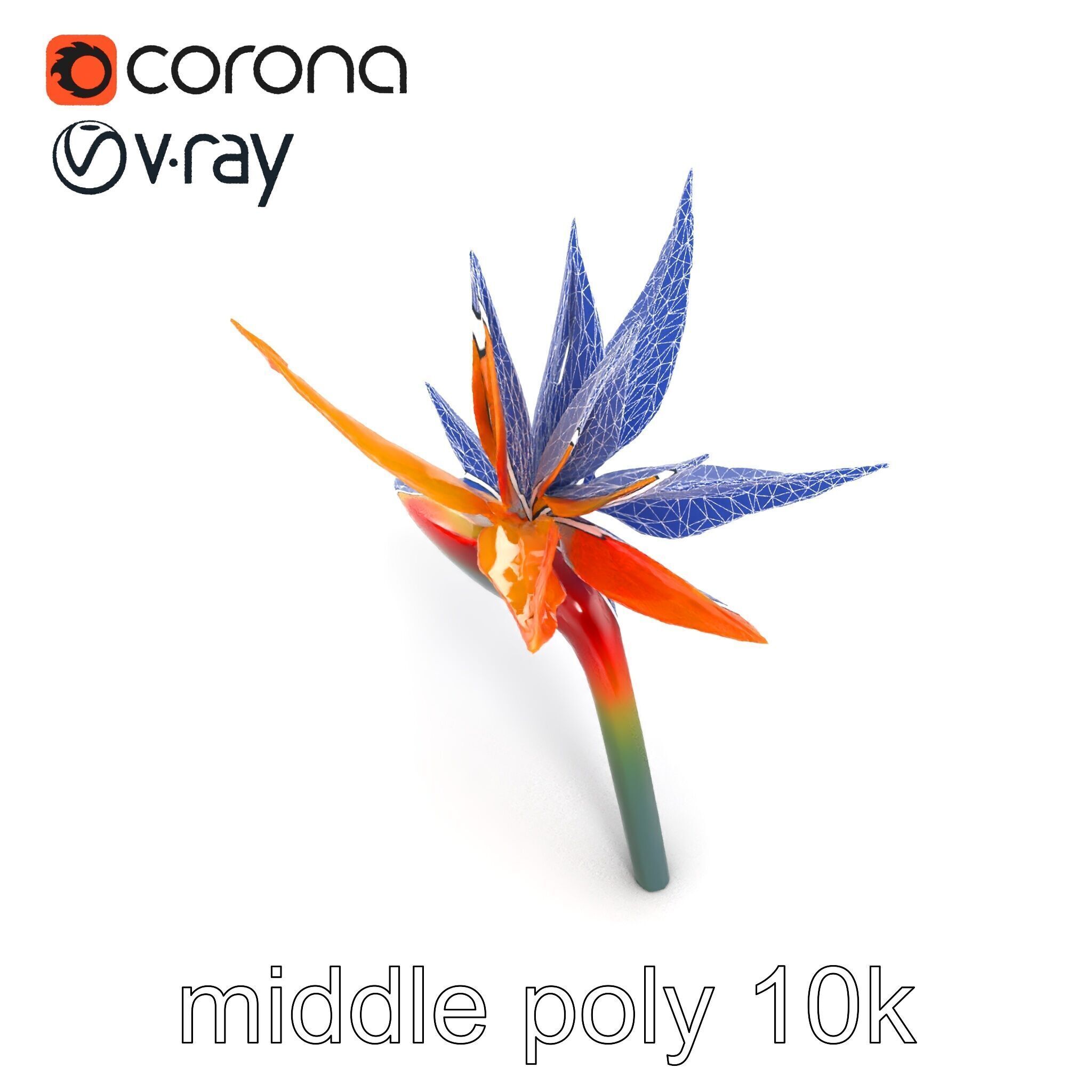 Strelitzia Bicolor Gradient Petal Sculpture Model Pack Low-poly 3D model_19