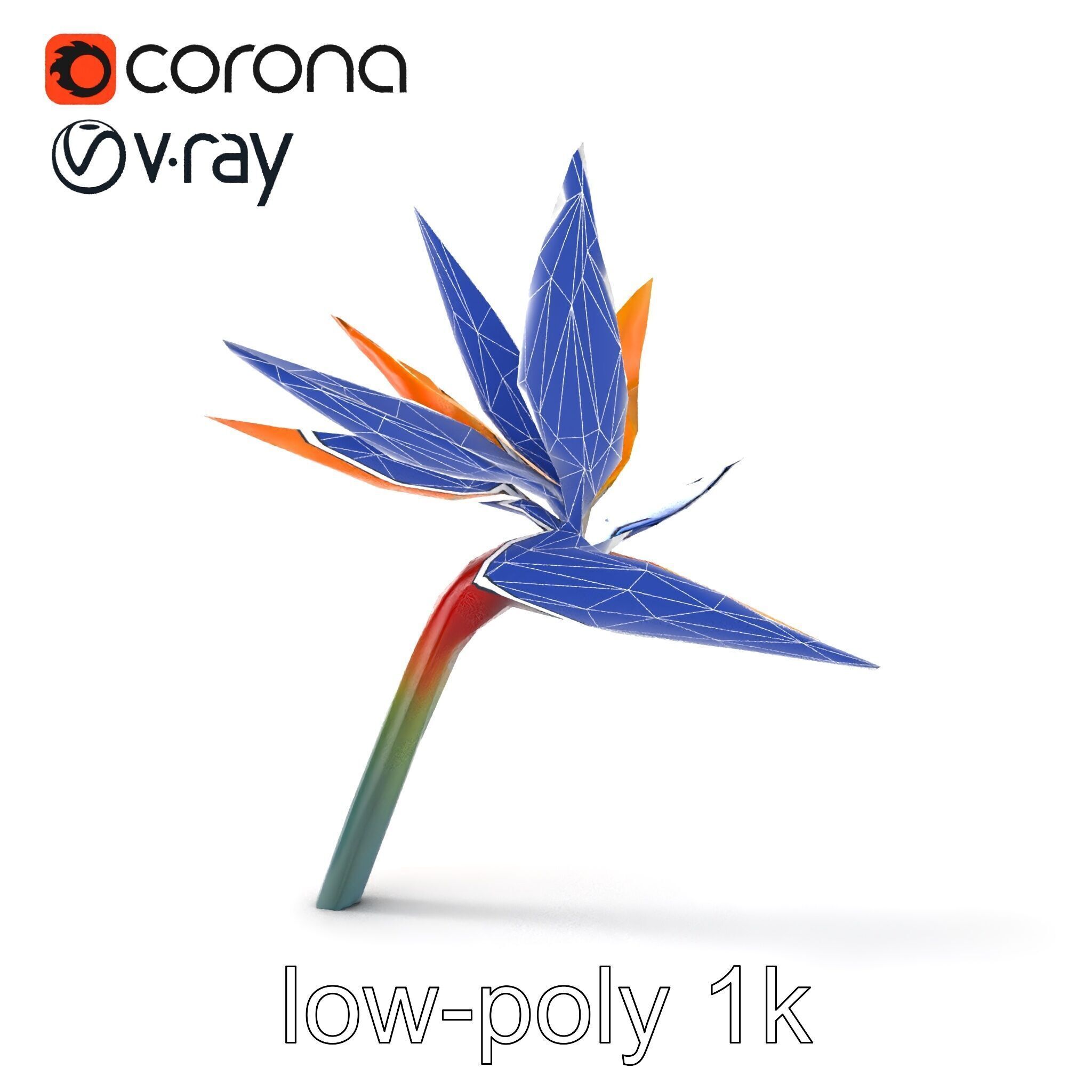 Strelitzia Bicolor Gradient Petal Sculpture Model Pack Low-poly 3D model_12