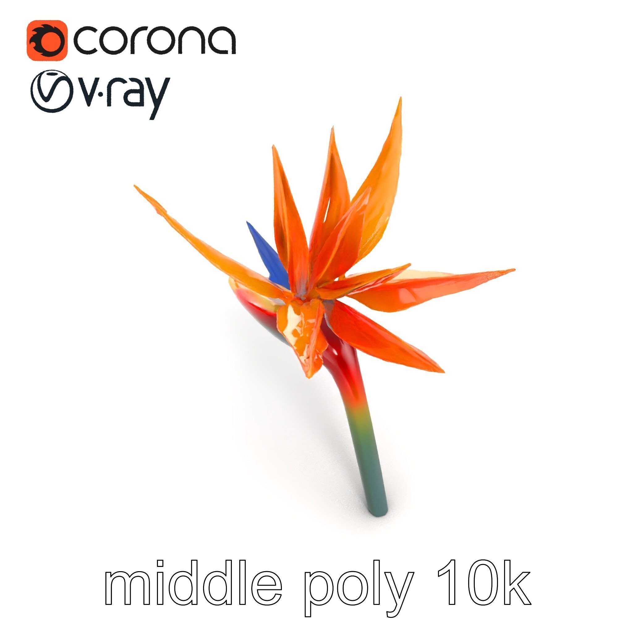 Strelitzia Bicolor Gradient Petal Sculpture Model Pack Low-poly 3D model_20