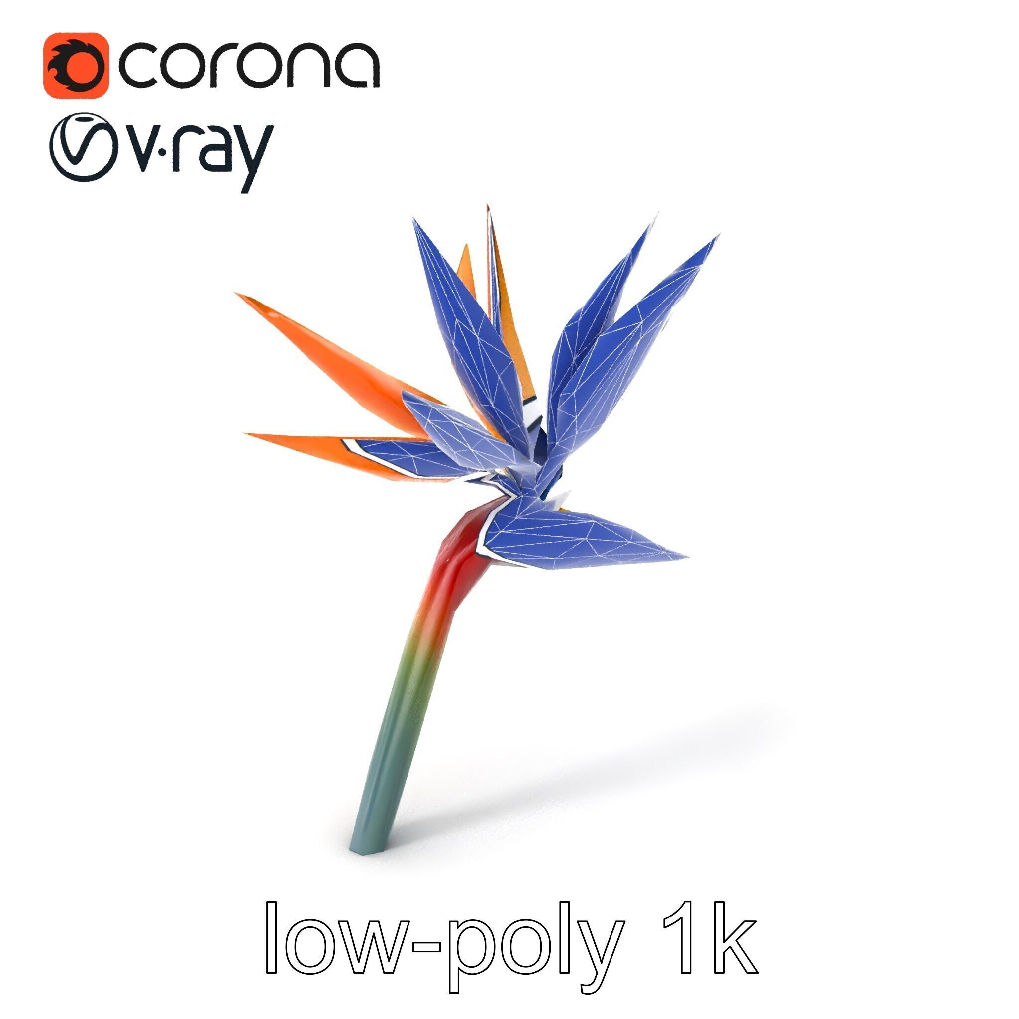 Strelitzia Bicolor Gradient Petal Sculpture Model Pack Low-poly 3D model_6
