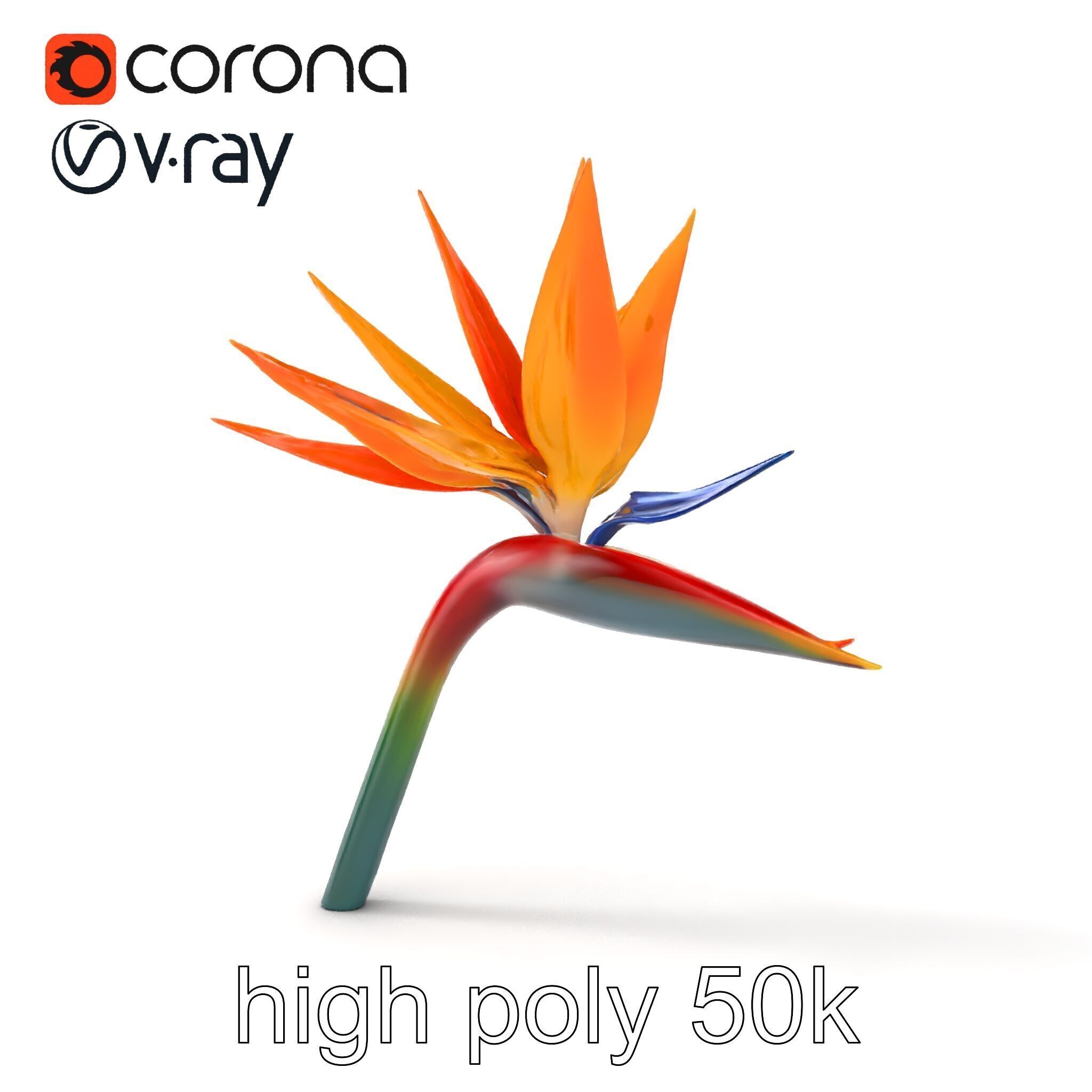 Strelitzia Bicolor Gradient Petal Sculpture Model Pack Low-poly 3D model_21
