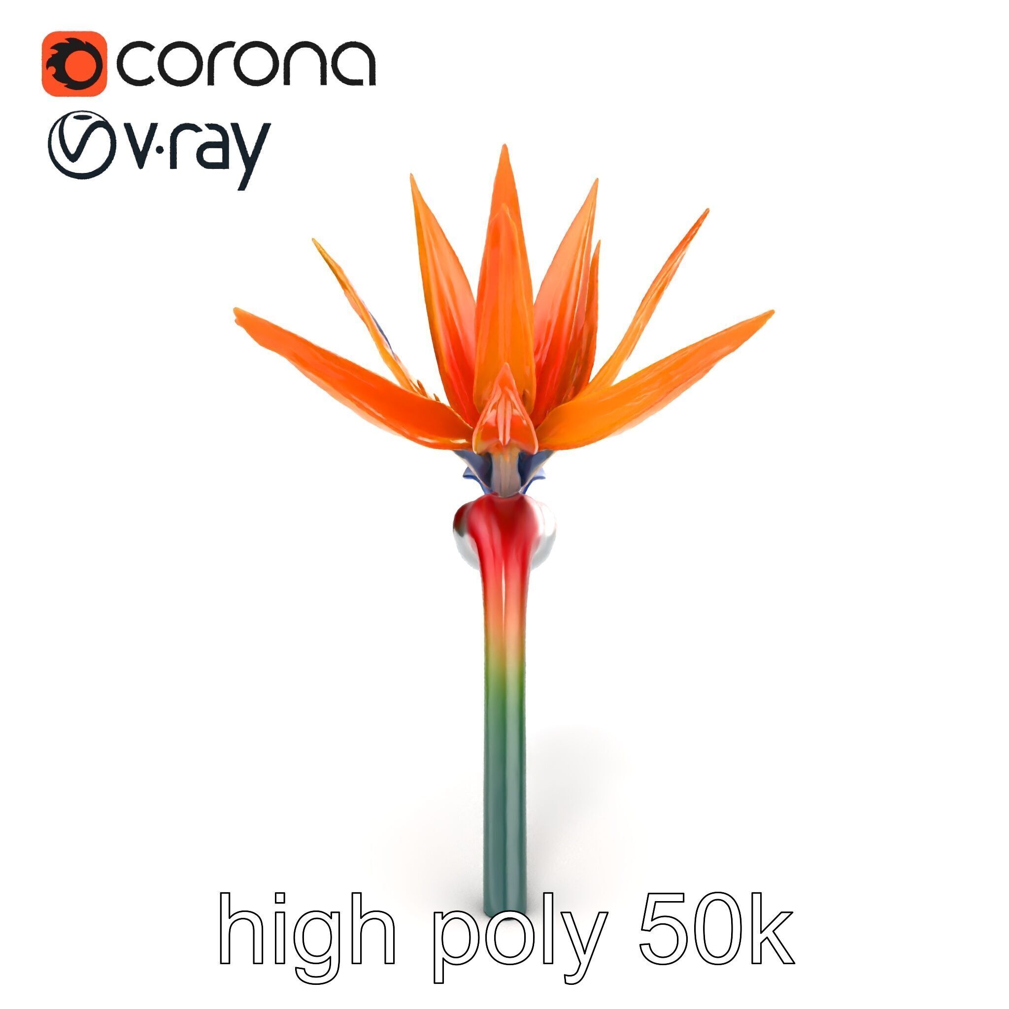 Strelitzia Bicolor Gradient Petal Sculpture Model Pack Low-poly 3D model_27