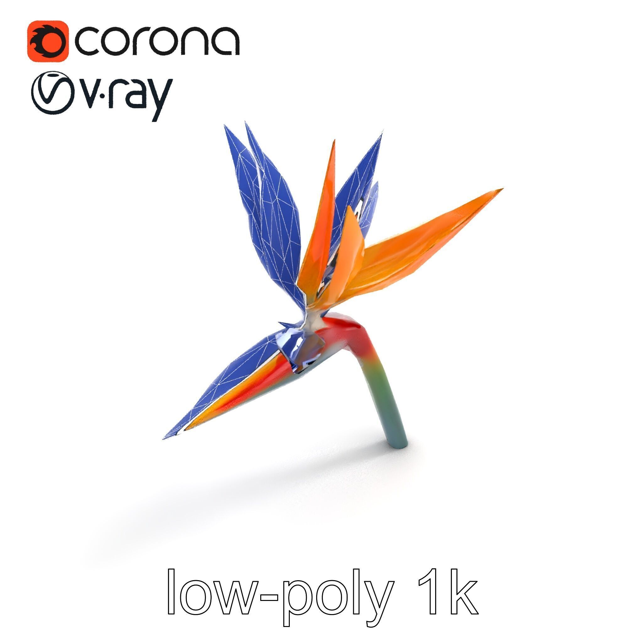 Strelitzia Bicolor Gradient Petal Sculpture Model Pack Low-poly 3D model_25