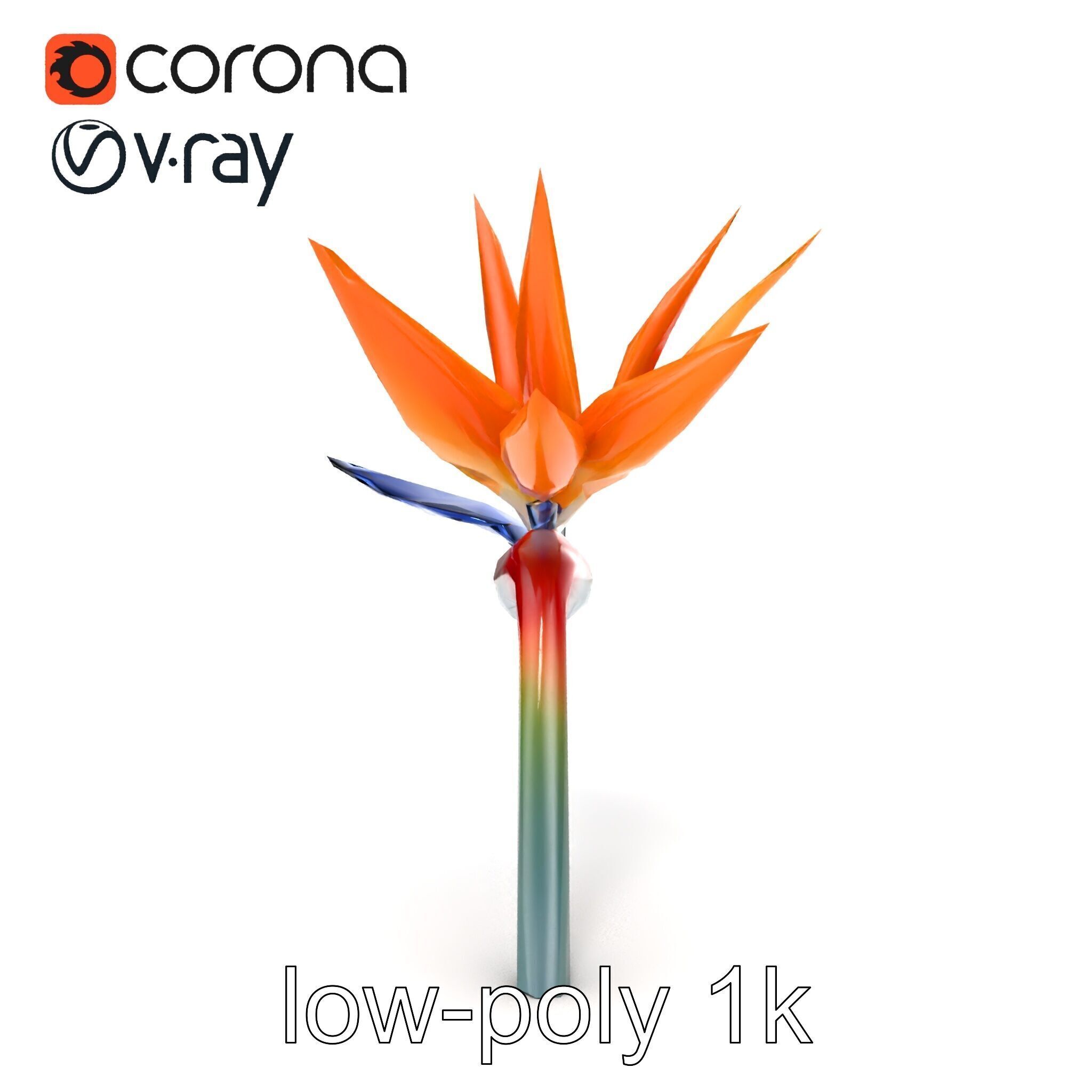 Strelitzia Bicolor Gradient Petal Sculpture Model Pack Low-poly 3D model_28