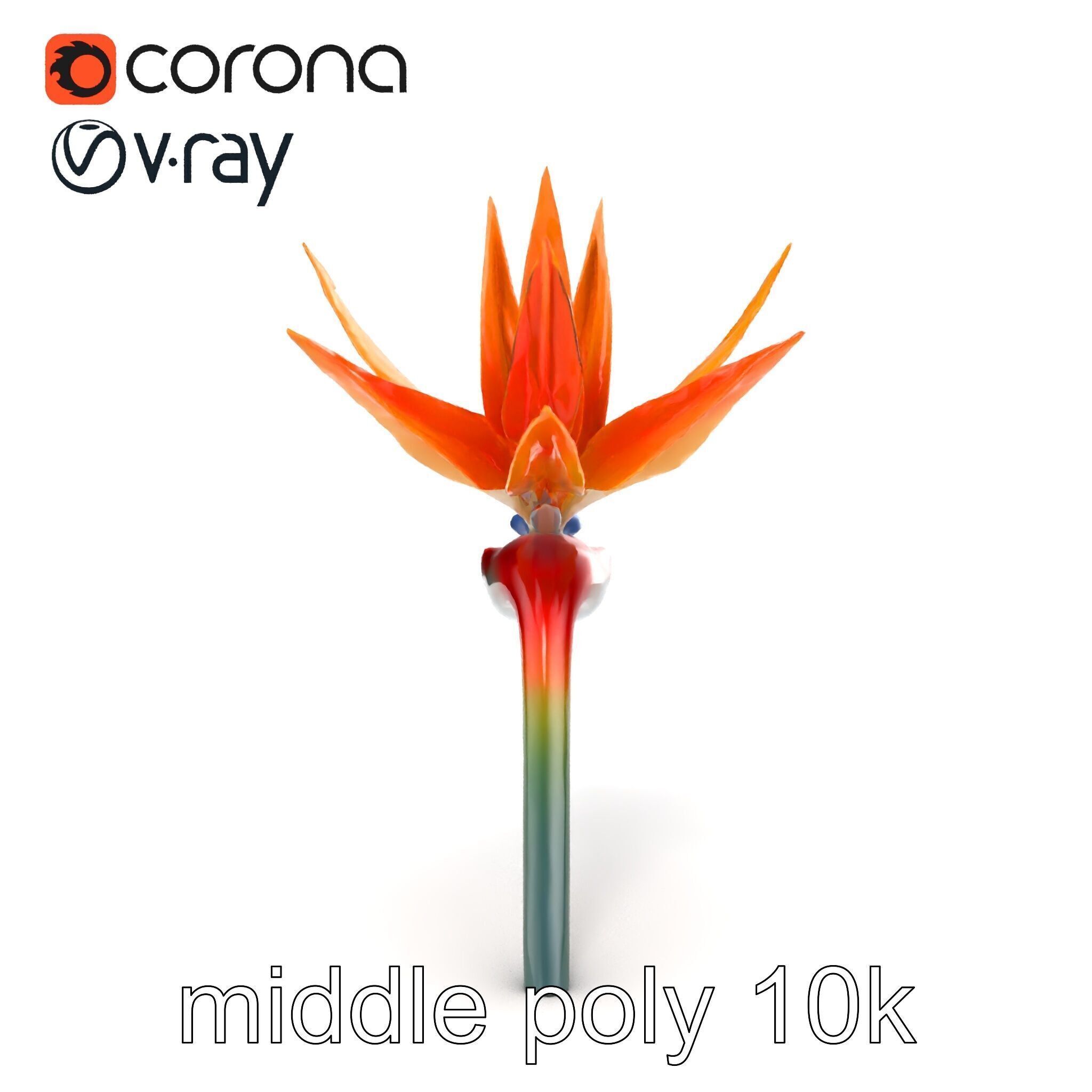 Strelitzia Bicolor Gradient Petal Sculpture Model Pack Low-poly 3D model_23