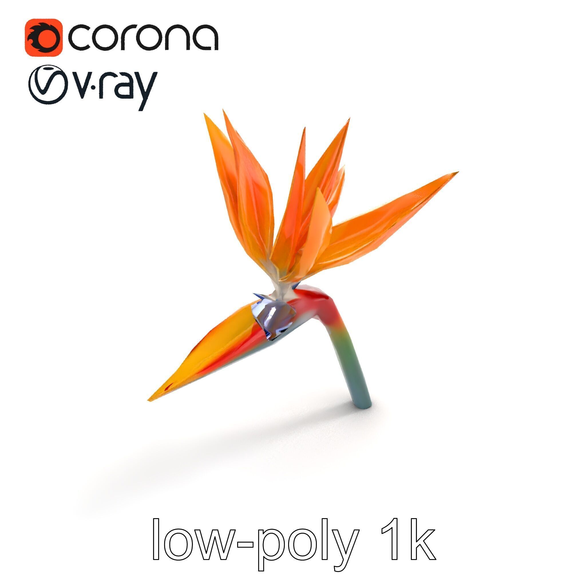 Strelitzia Bicolor Gradient Petal Sculpture Model Pack Low-poly 3D model_8