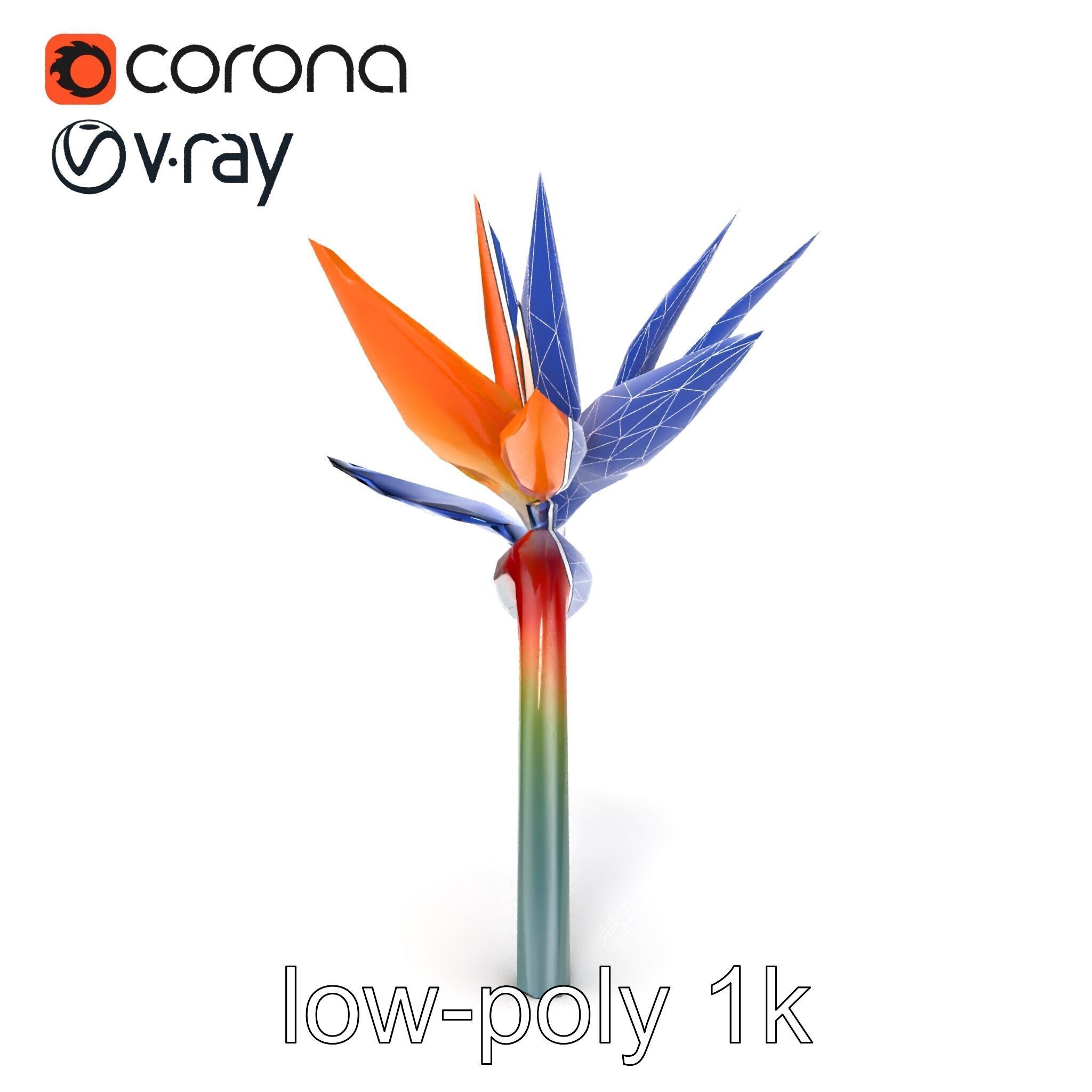 Strelitzia Bicolor Gradient Petal Sculpture Model Pack Low-poly 3D model_29
