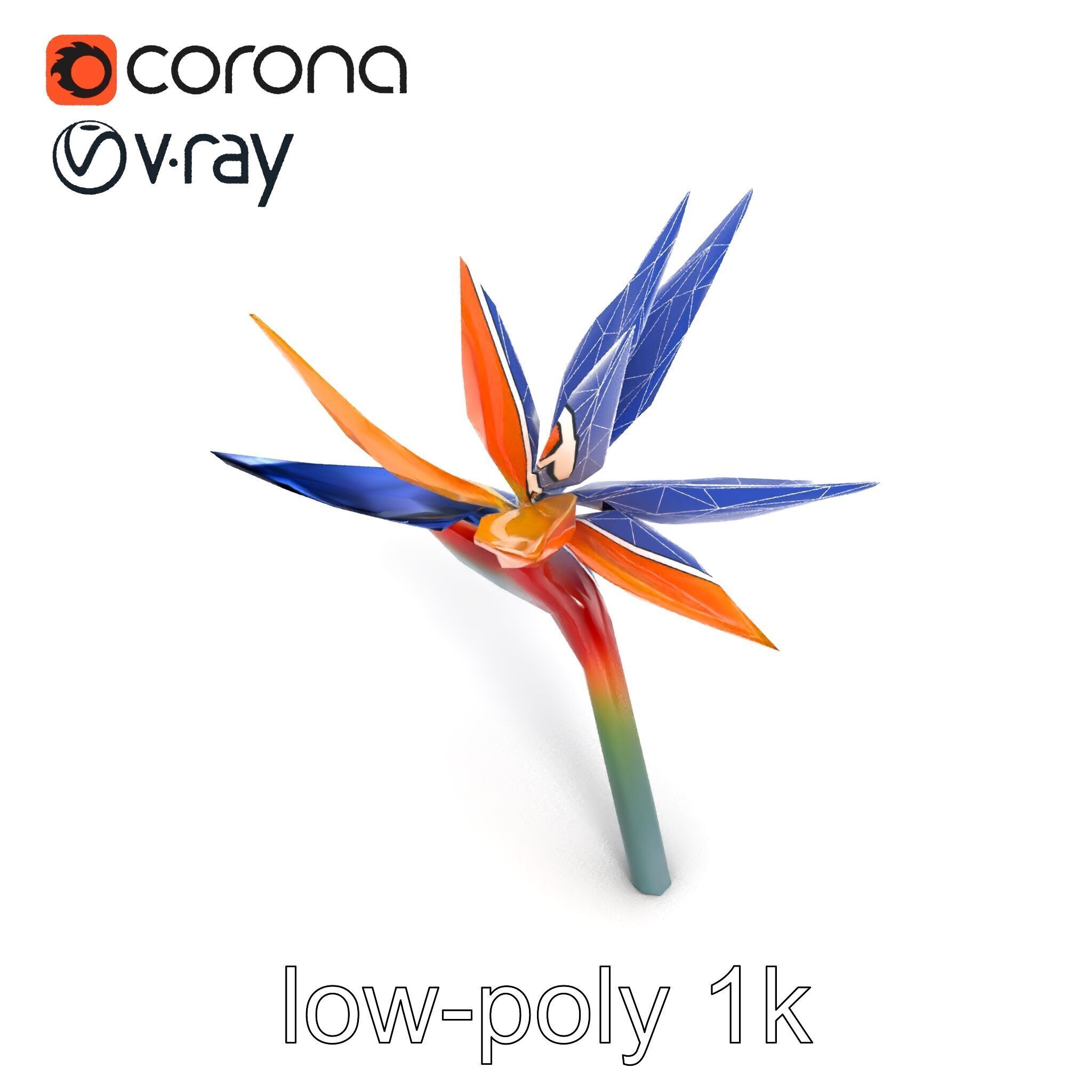 Strelitzia Bicolor Gradient Petal Sculpture Model Pack Low-poly 3D model_17