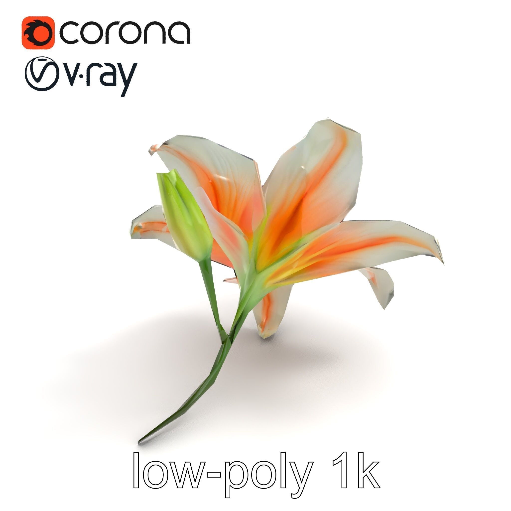 Oriental Lily Blossom 3D model pack Low-poly 3D model_8