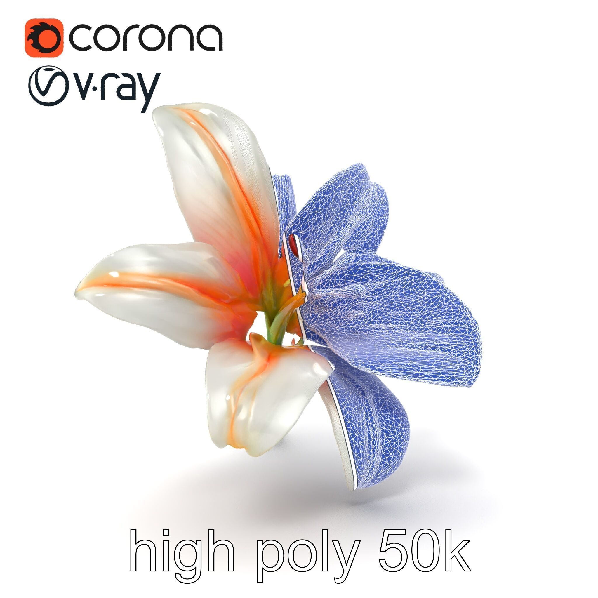 Oriental Lily Blossom 3D model pack Low-poly 3D model_26