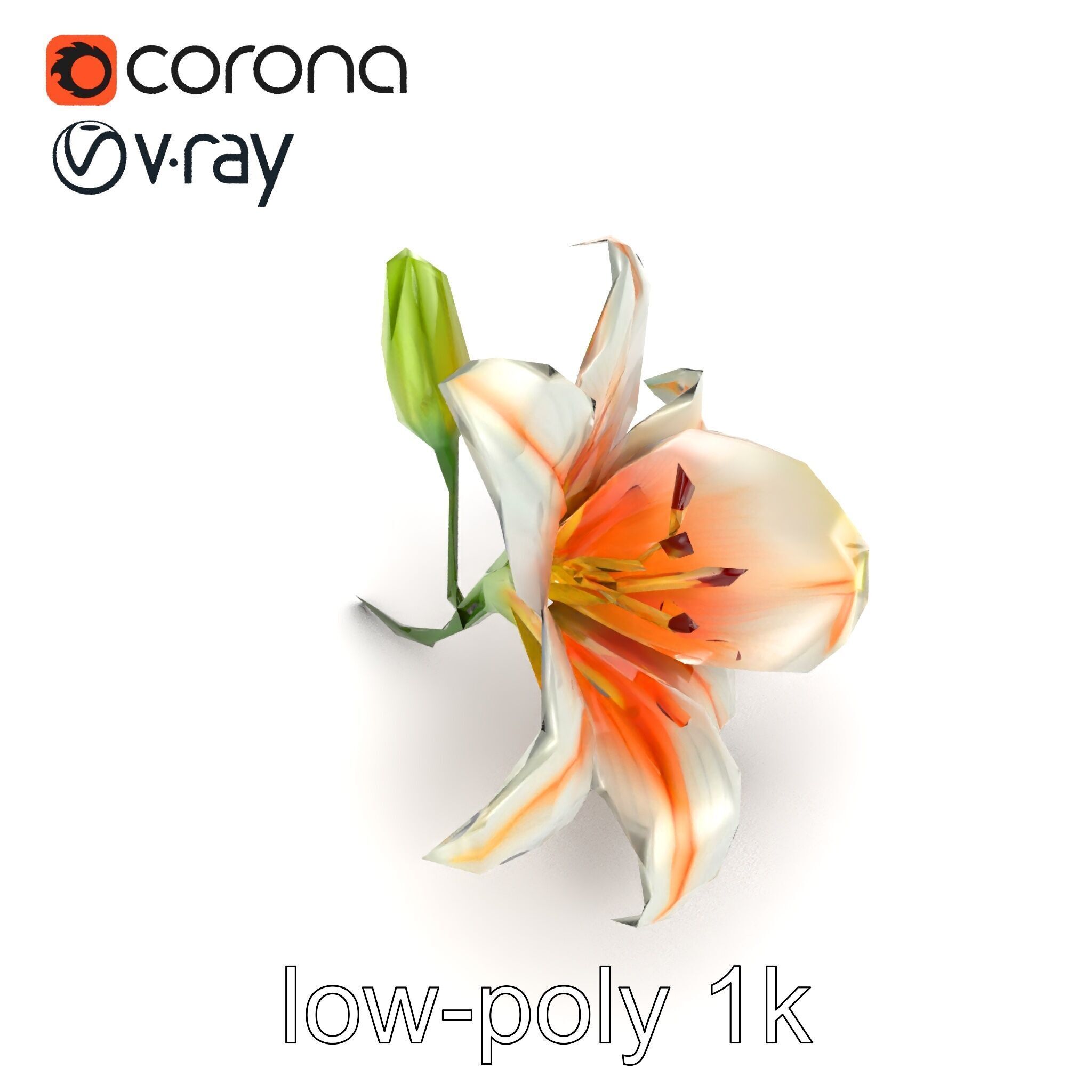 Oriental Lily Blossom 3D model pack Low-poly 3D model_15