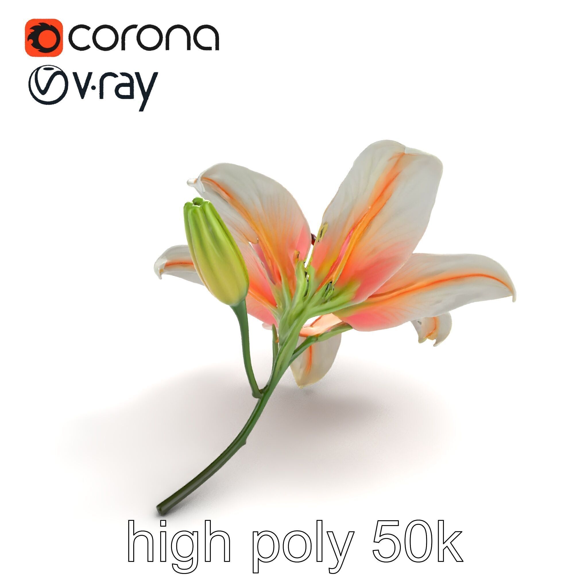 Oriental Lily Blossom 3D model pack Low-poly 3D model_9