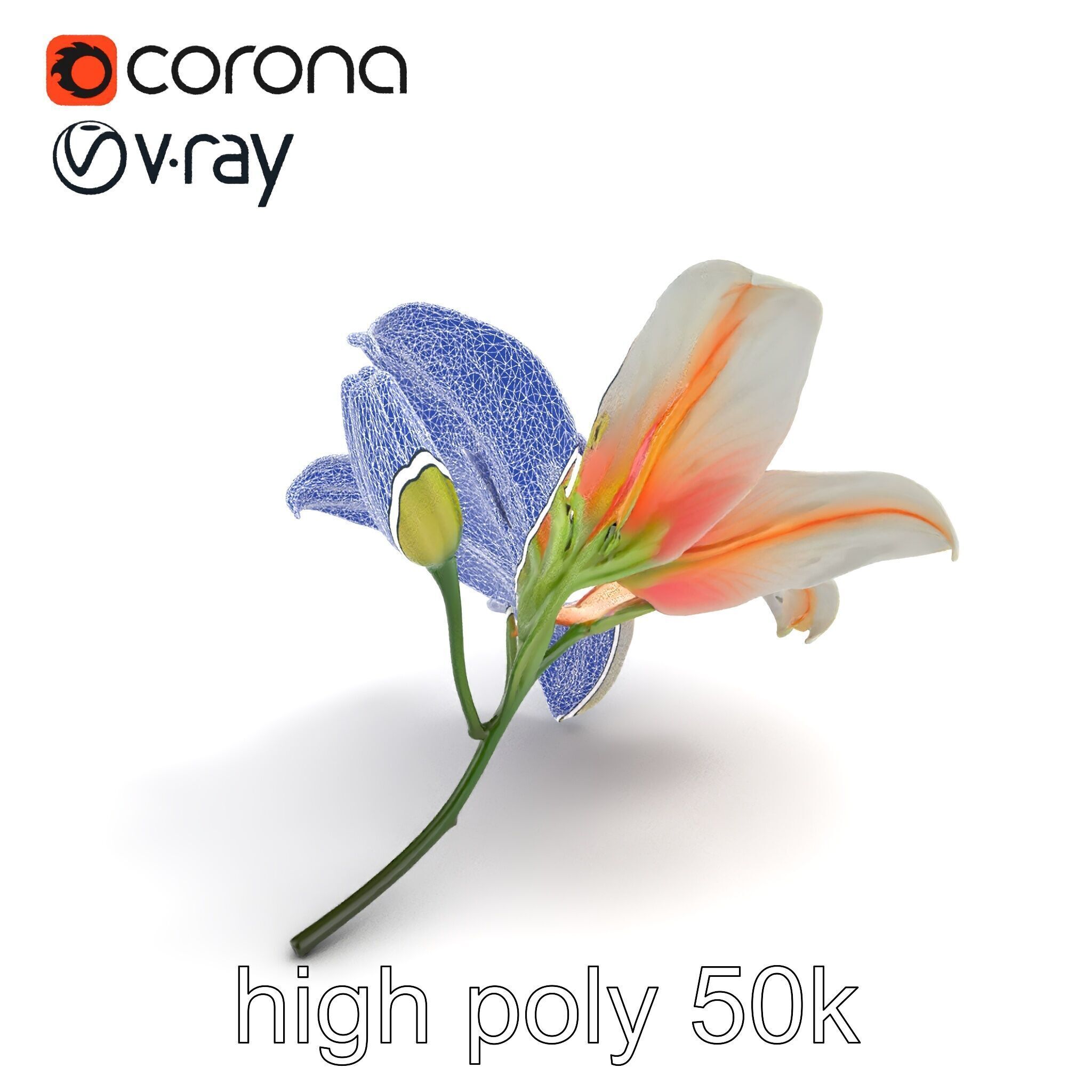 Oriental Lily Blossom 3D model pack Low-poly 3D model_10