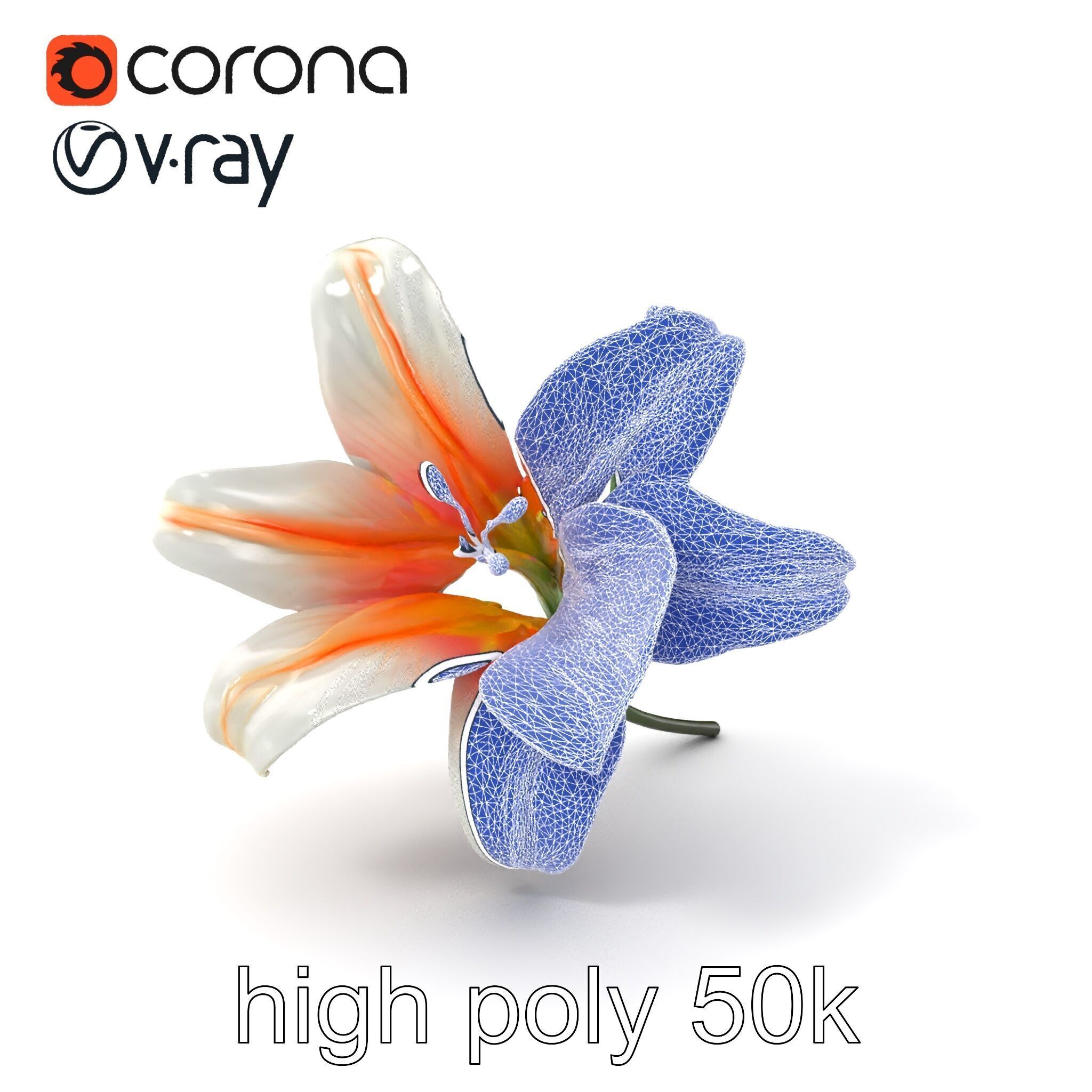 Oriental Lily Blossom 3D model pack Low-poly 3D model_1