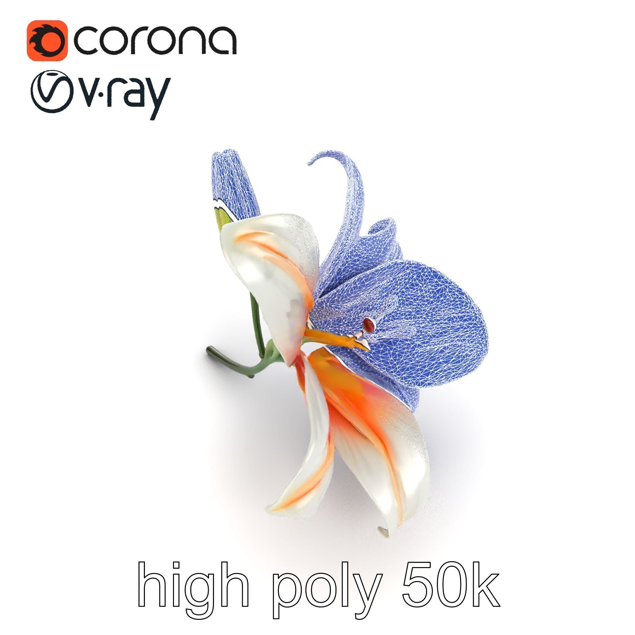 Oriental Lily Blossom 3D model pack Low-poly 3D model_20