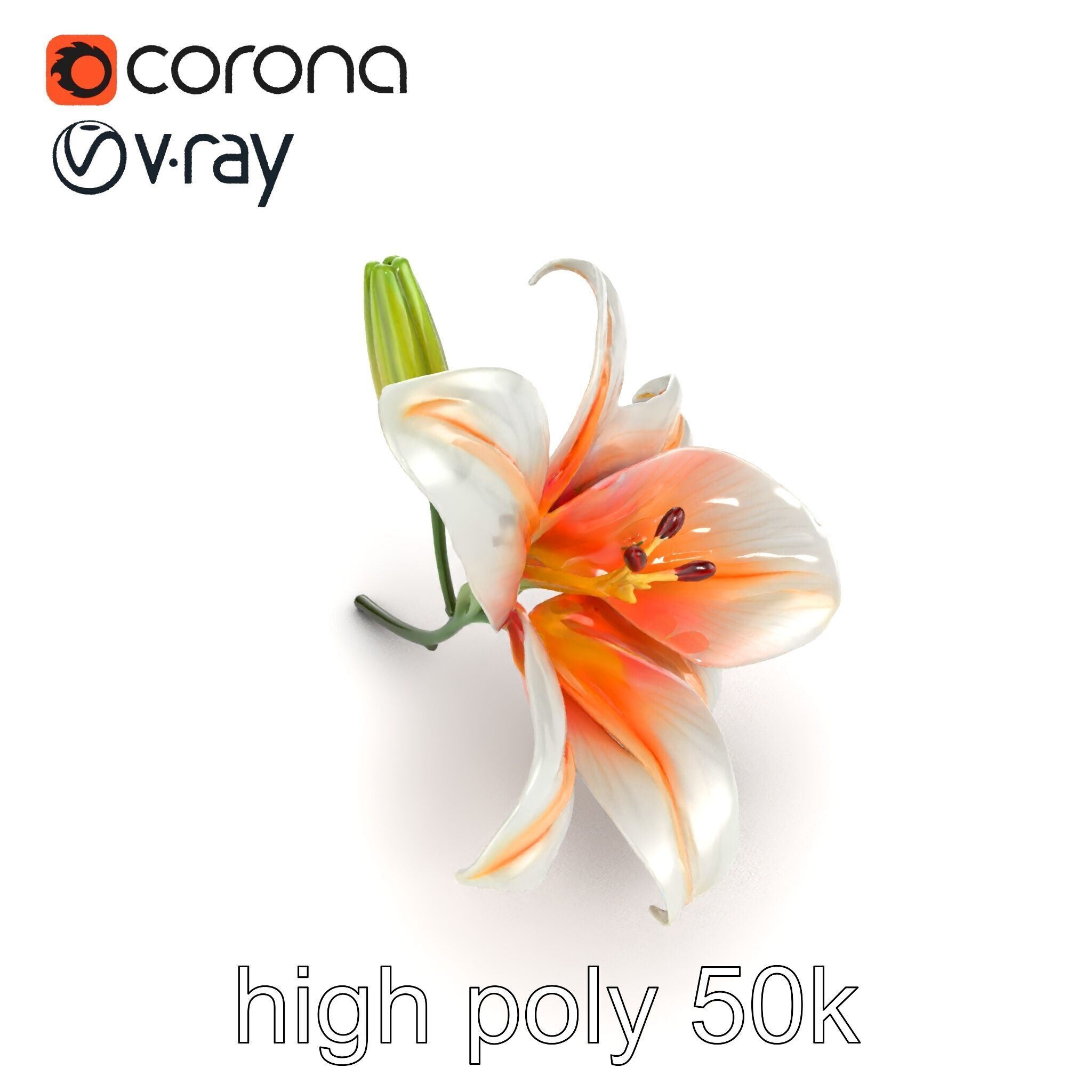 Oriental Lily Blossom 3D model pack Low-poly 3D model_16
