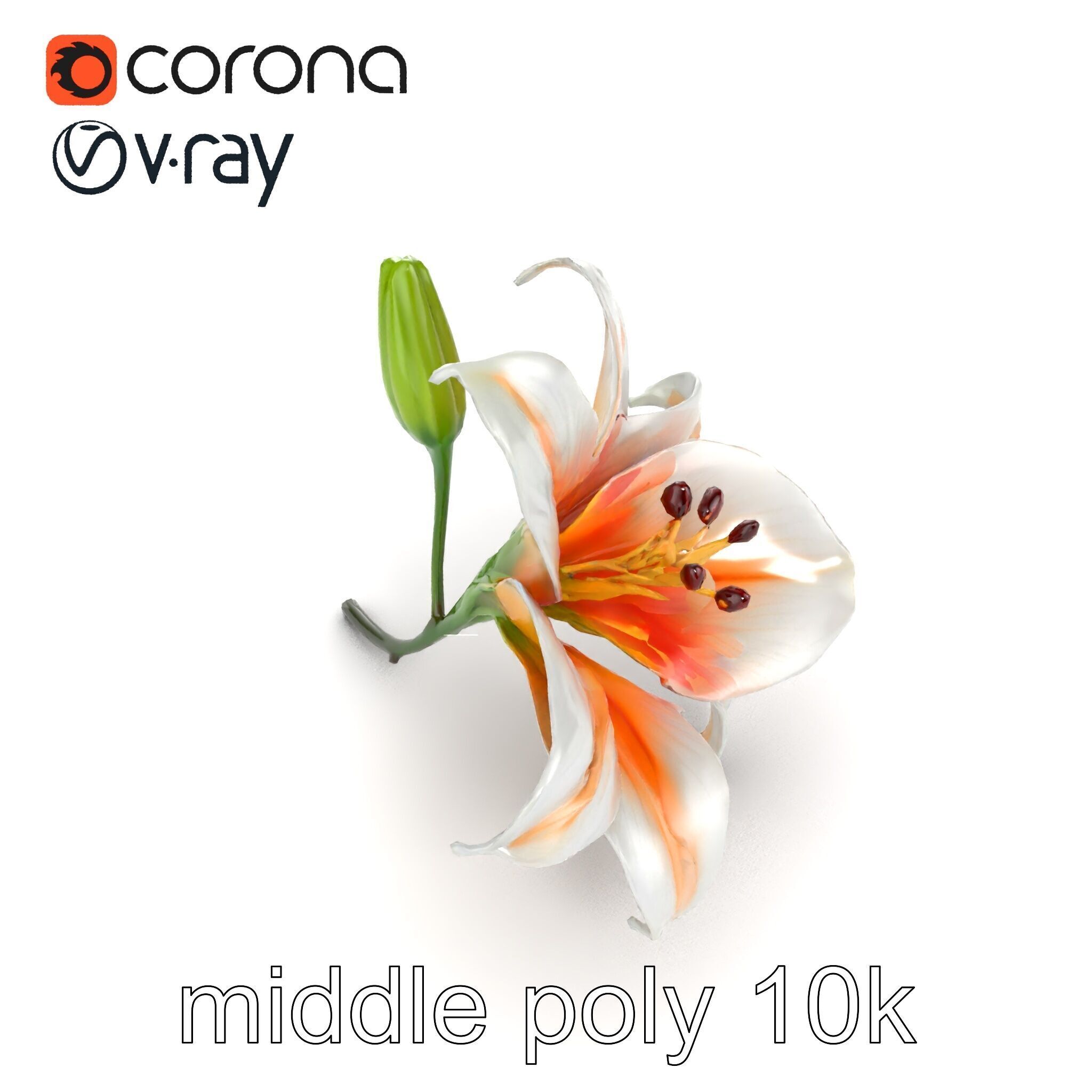 Oriental Lily Blossom 3D model pack Low-poly 3D model_18