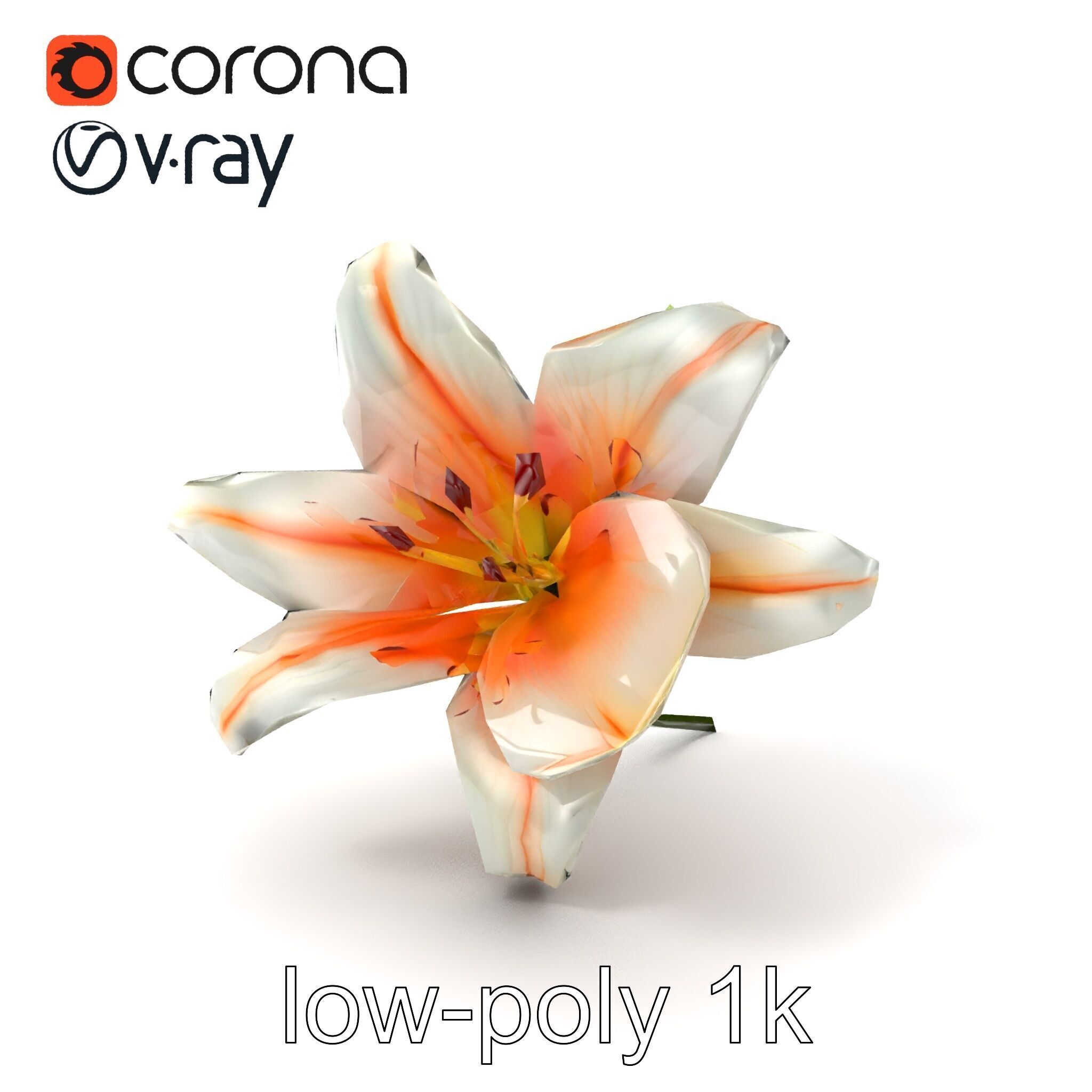 Oriental Lily Blossom 3D model pack Low-poly 3D model_4