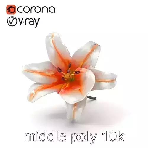 Oriental Lily Blossom 3D model pack Low-poly 3D model Oriental Lily Blossom 3D model pack Low-poly 3D model