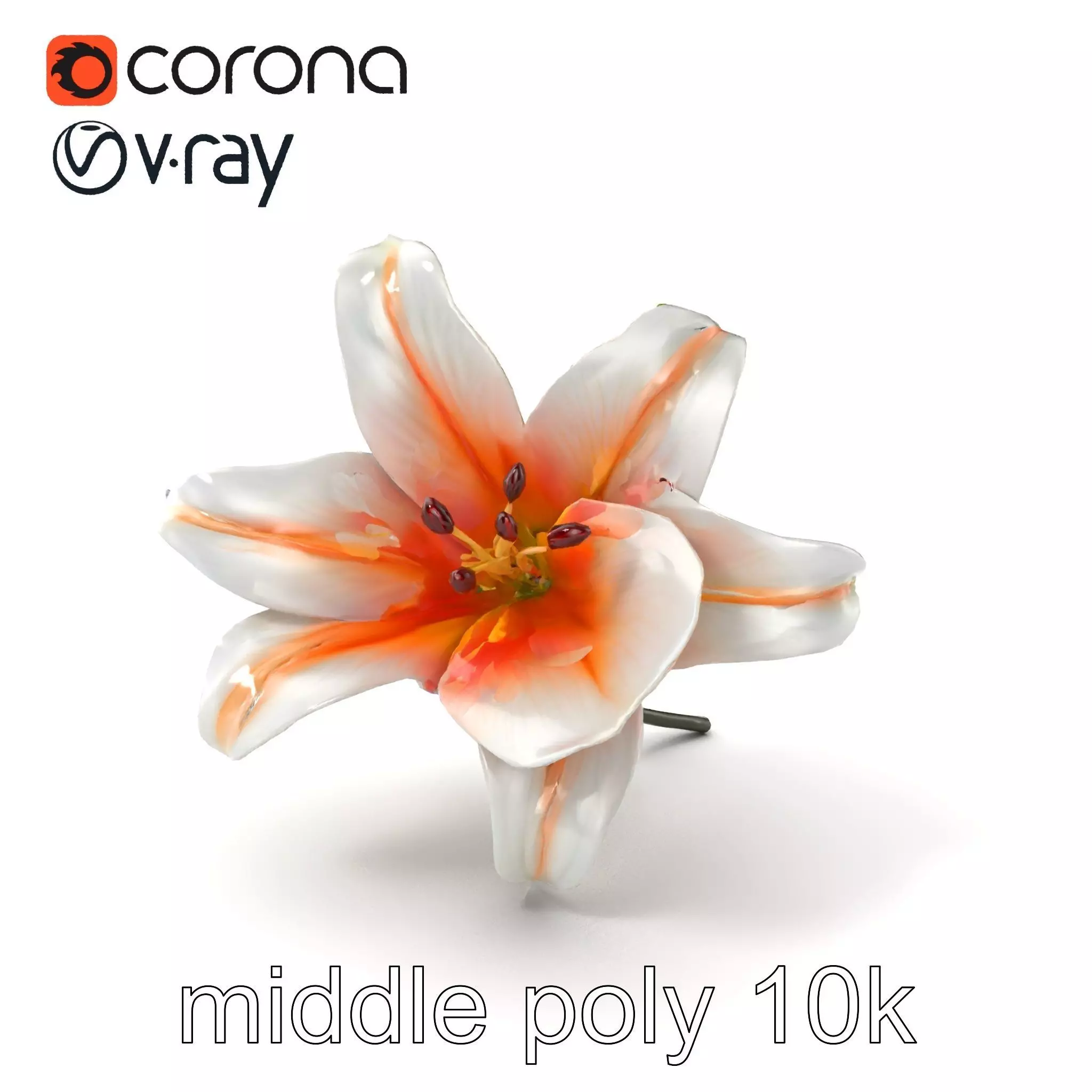 Oriental Lily Blossom 3D model pack Low-poly 3D model_0
