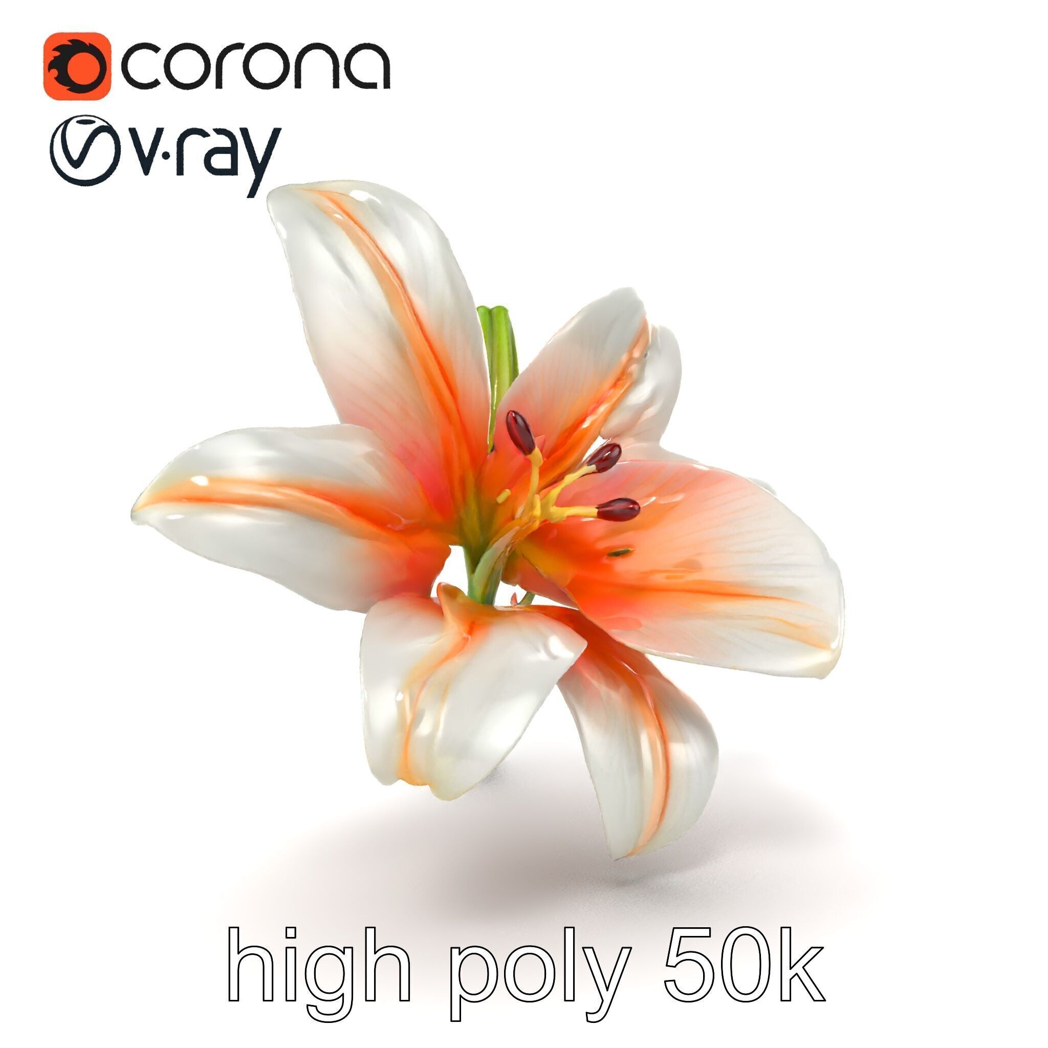 Oriental Lily Blossom 3D model pack Low-poly 3D model_14