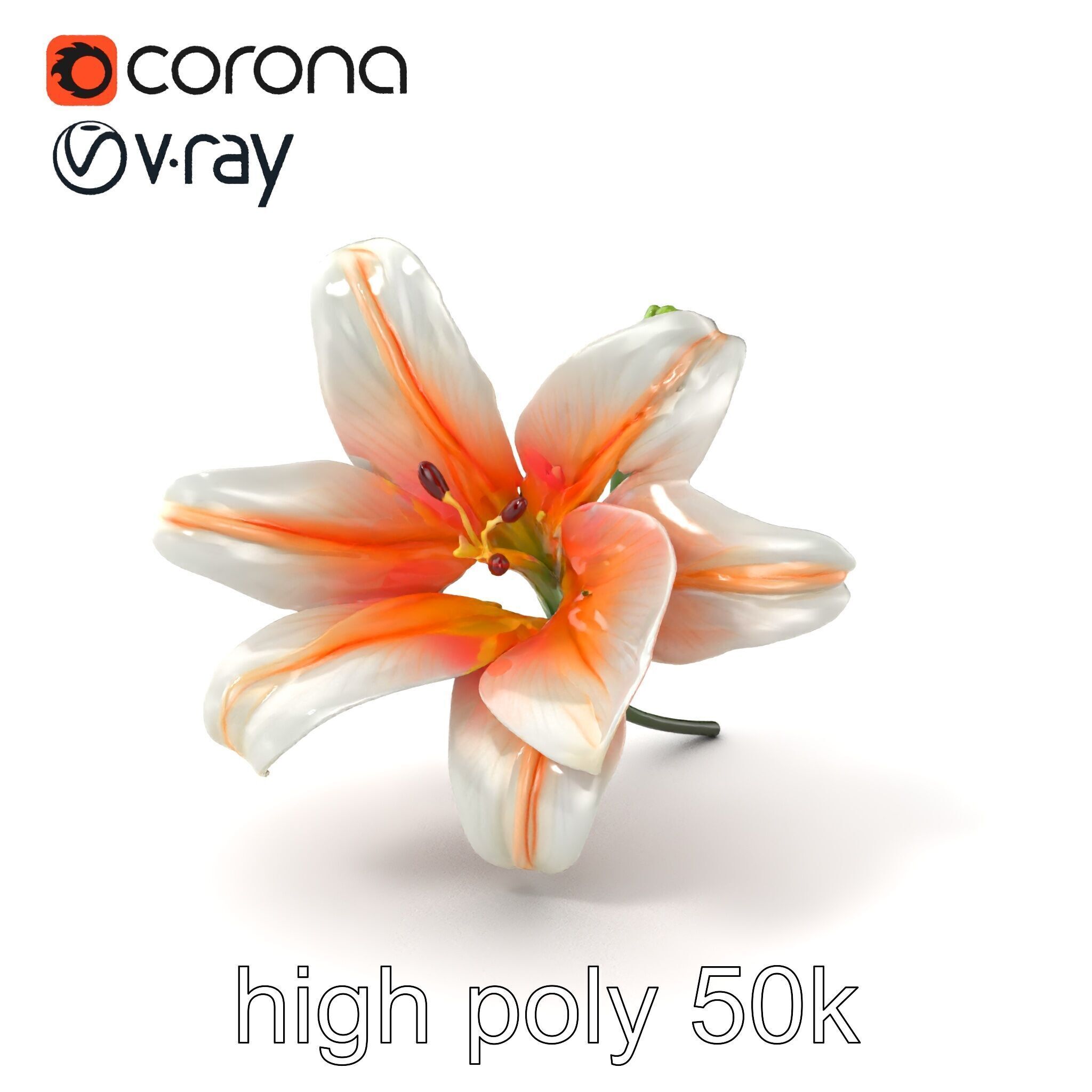 Oriental Lily Blossom 3D model pack Low-poly 3D model_2