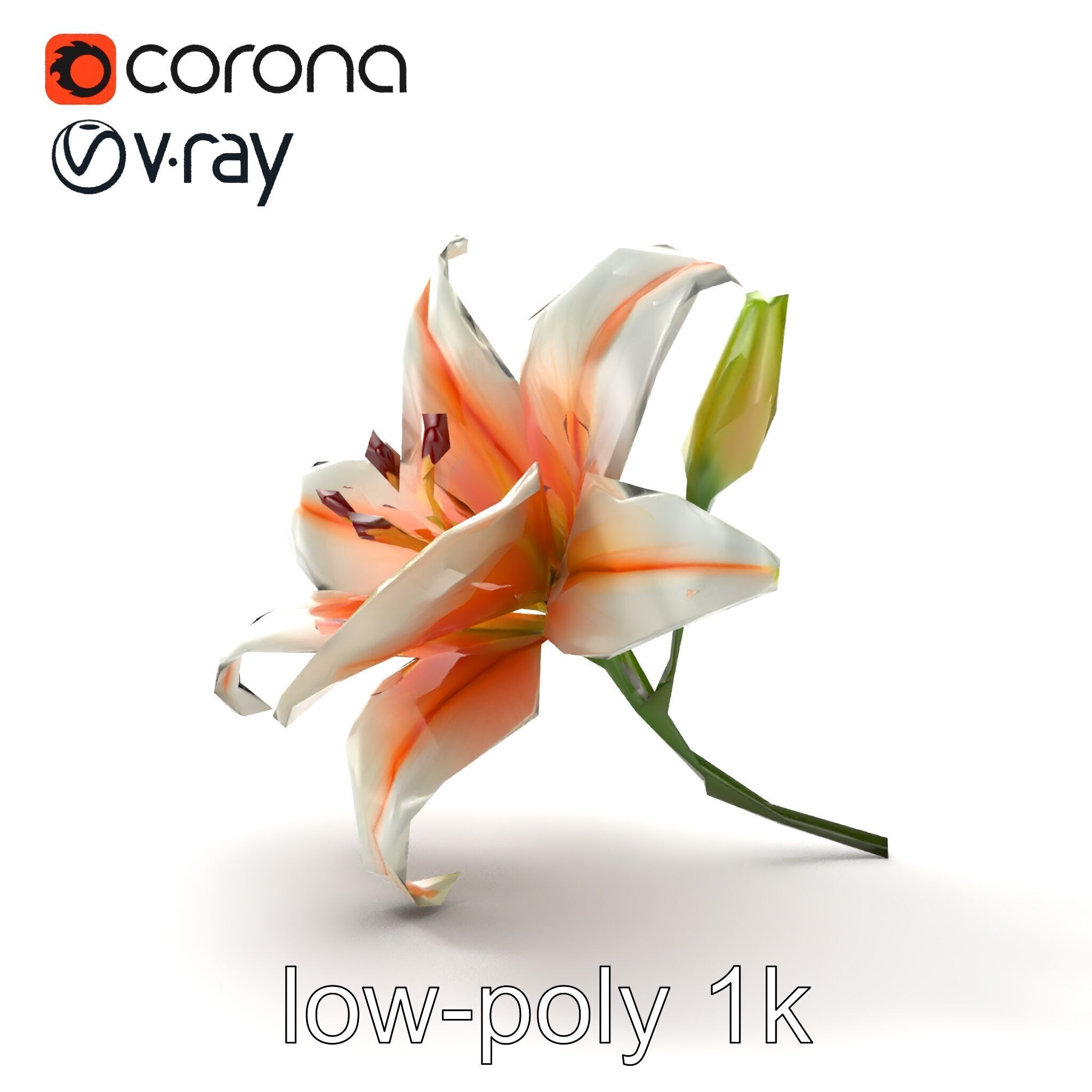 Oriental Lily Blossom 3D model pack Low-poly 3D model_13