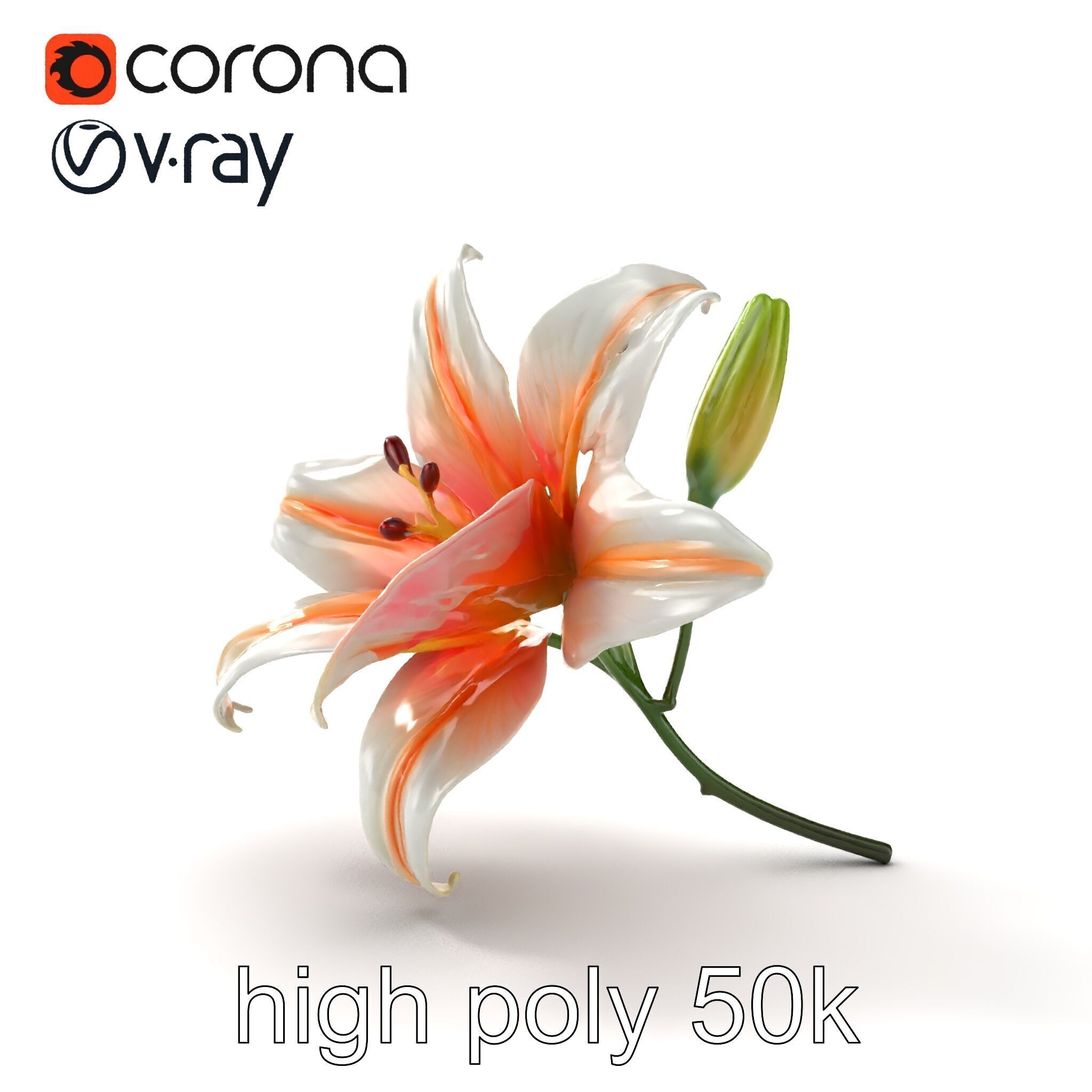 Oriental Lily Blossom 3D model pack Low-poly 3D model_28