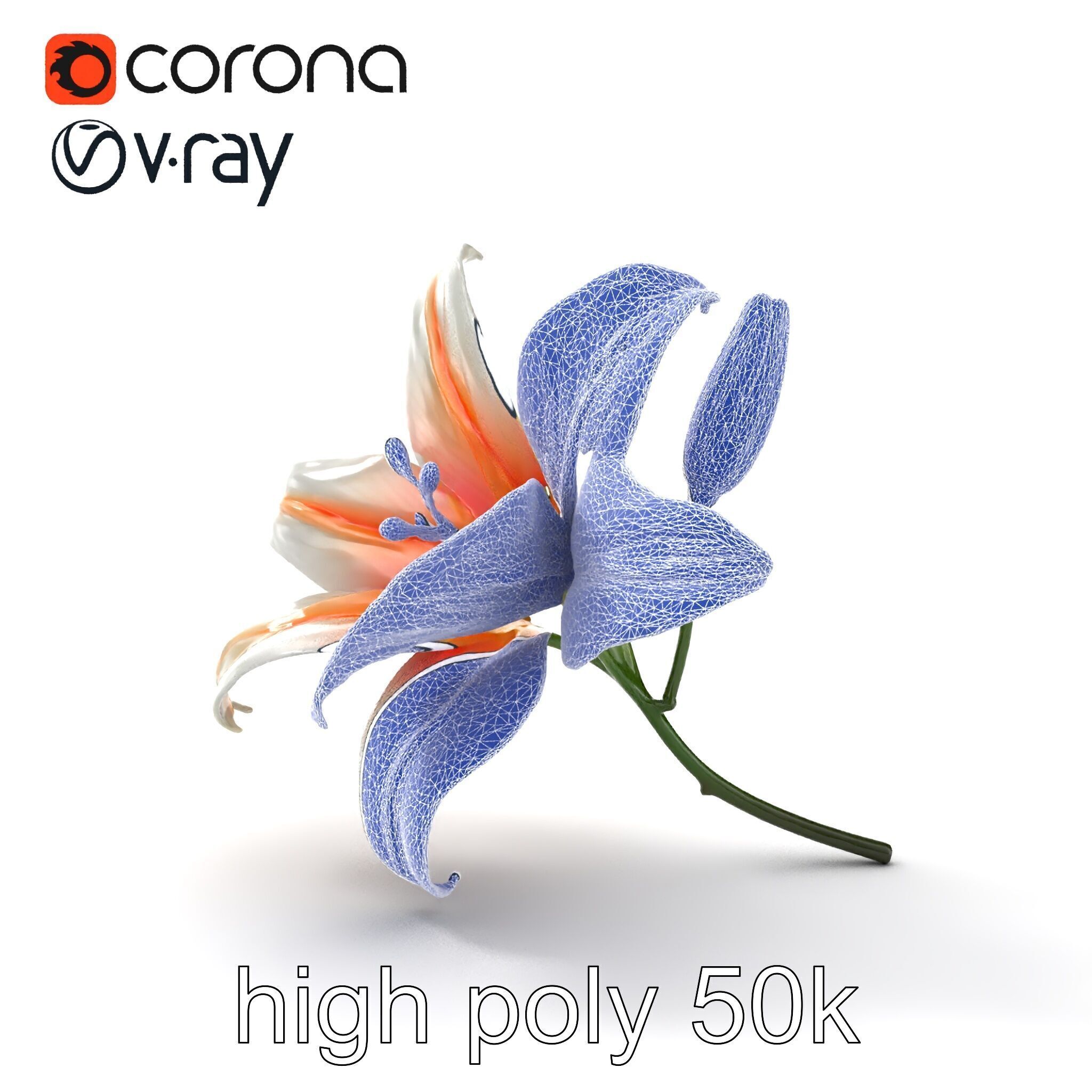 Oriental Lily Blossom 3D model pack Low-poly 3D model_12