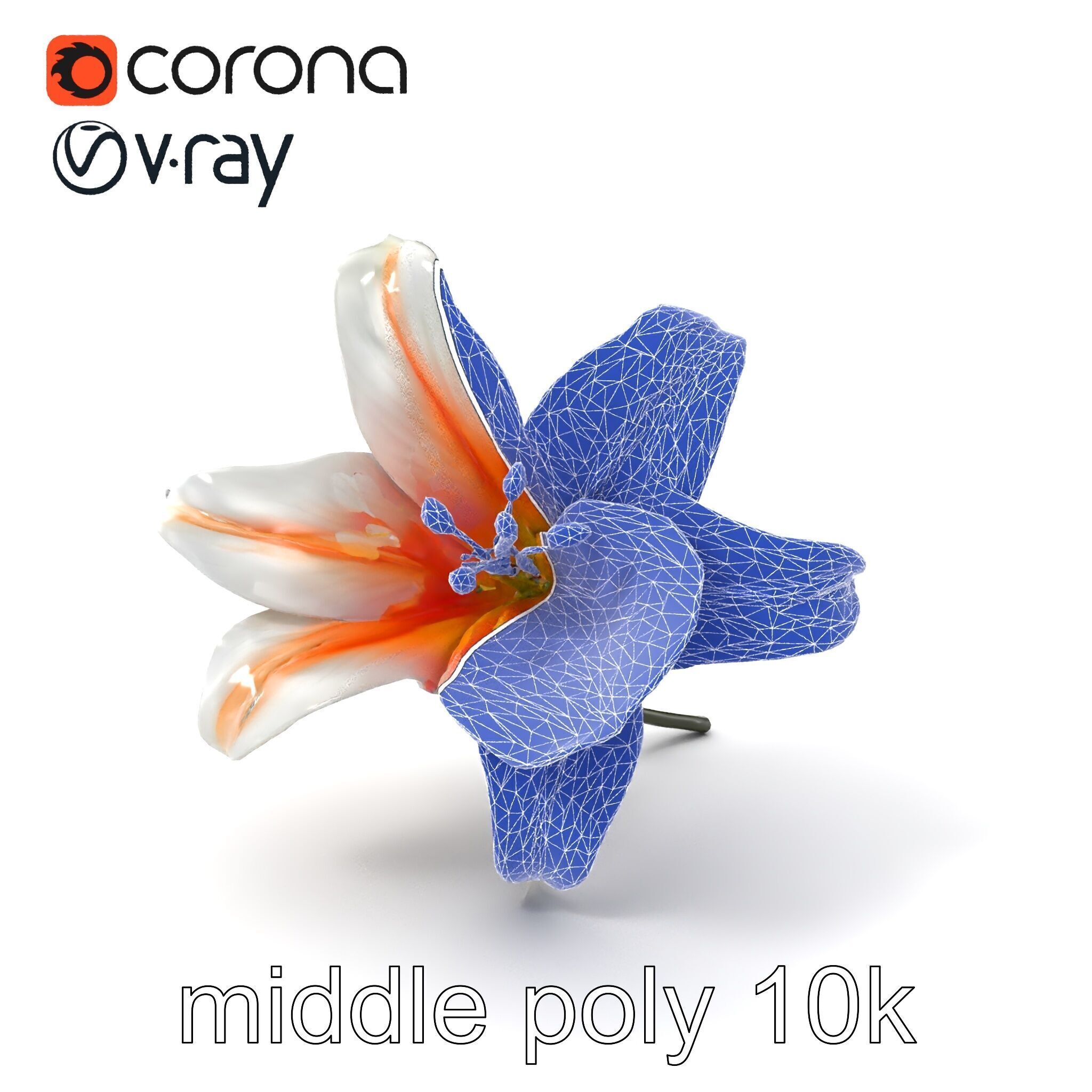 Oriental Lily Blossom 3D model pack Low-poly 3D model_5