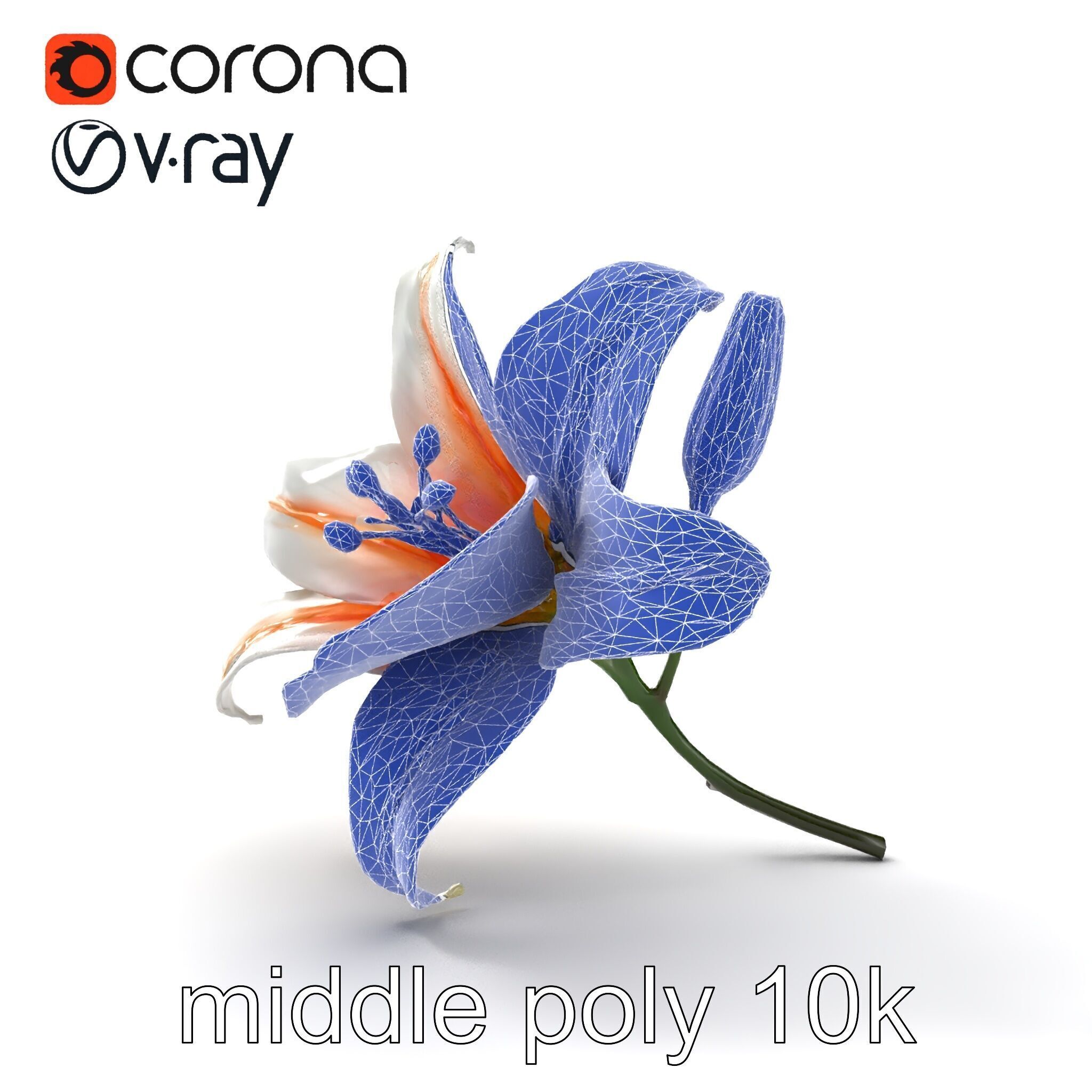 Oriental Lily Blossom 3D model pack Low-poly 3D model_30