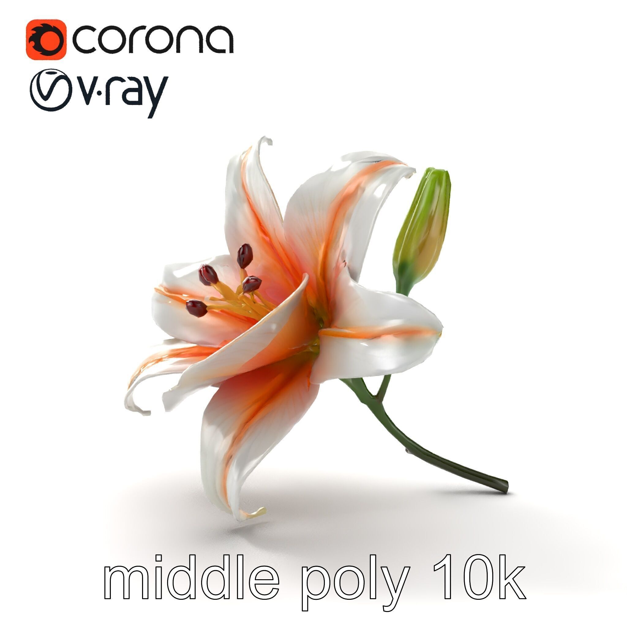 Oriental Lily Blossom 3D model pack Low-poly 3D model_27