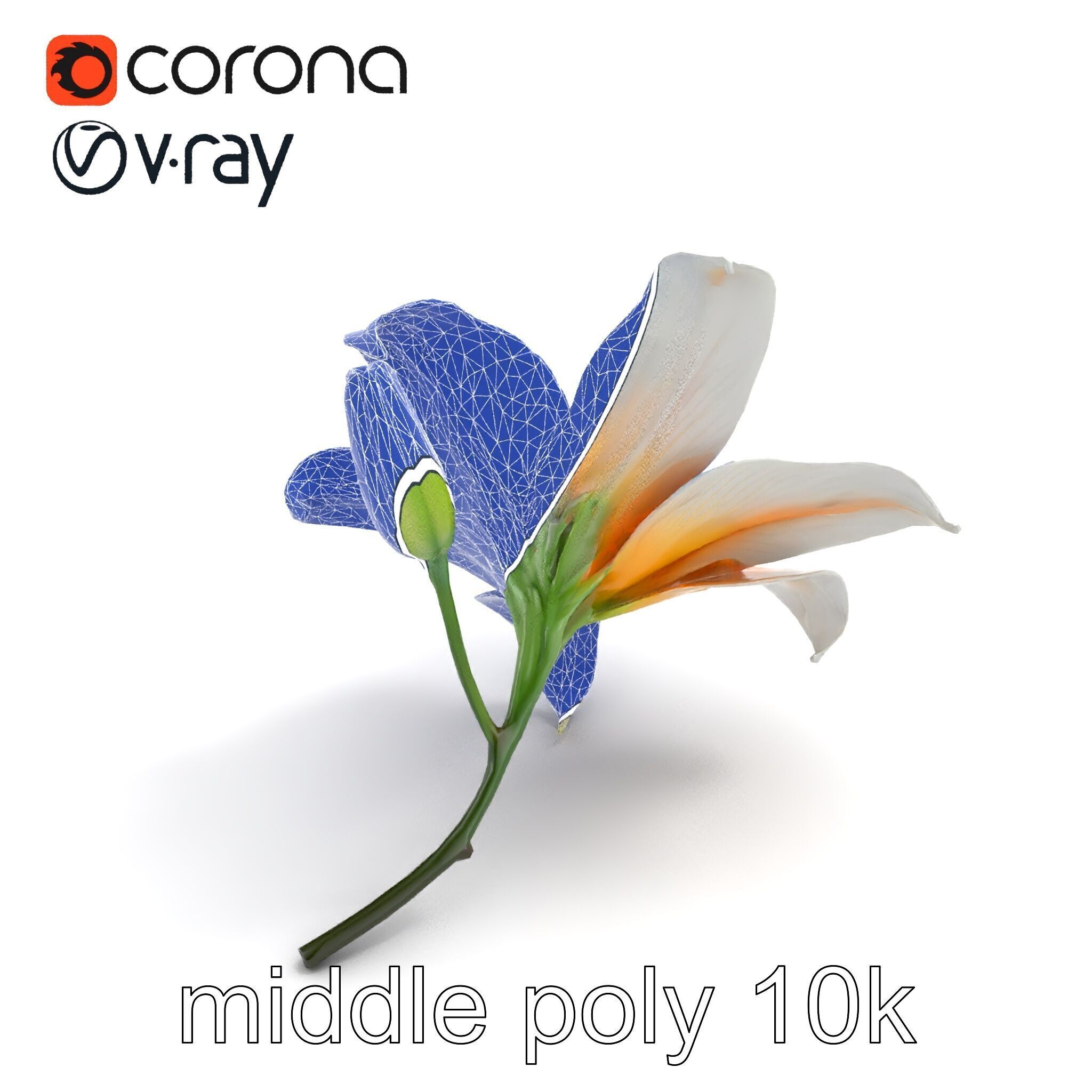 Oriental Lily Blossom 3D model pack Low-poly 3D model_11