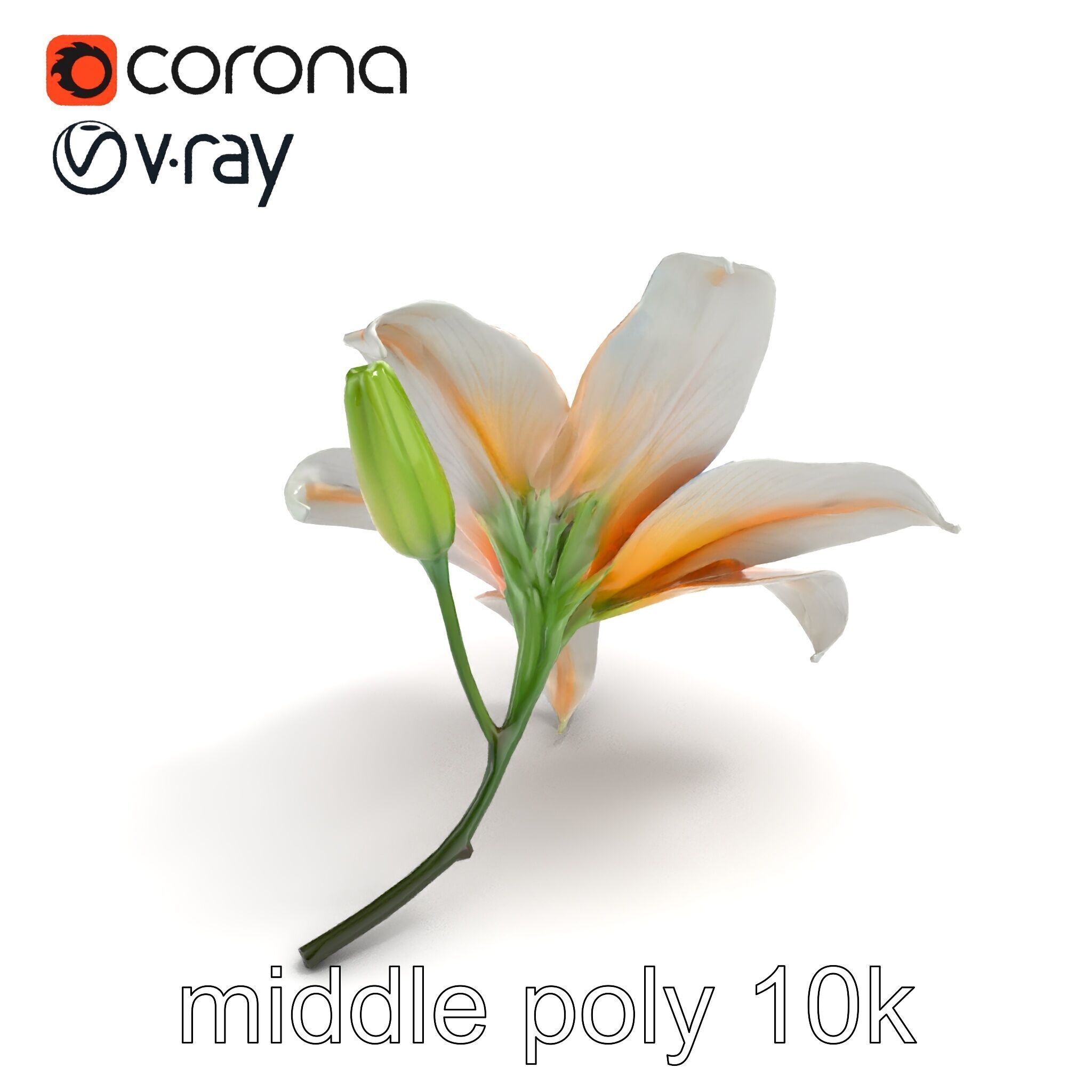 Oriental Lily Blossom 3D model pack Low-poly 3D model_7