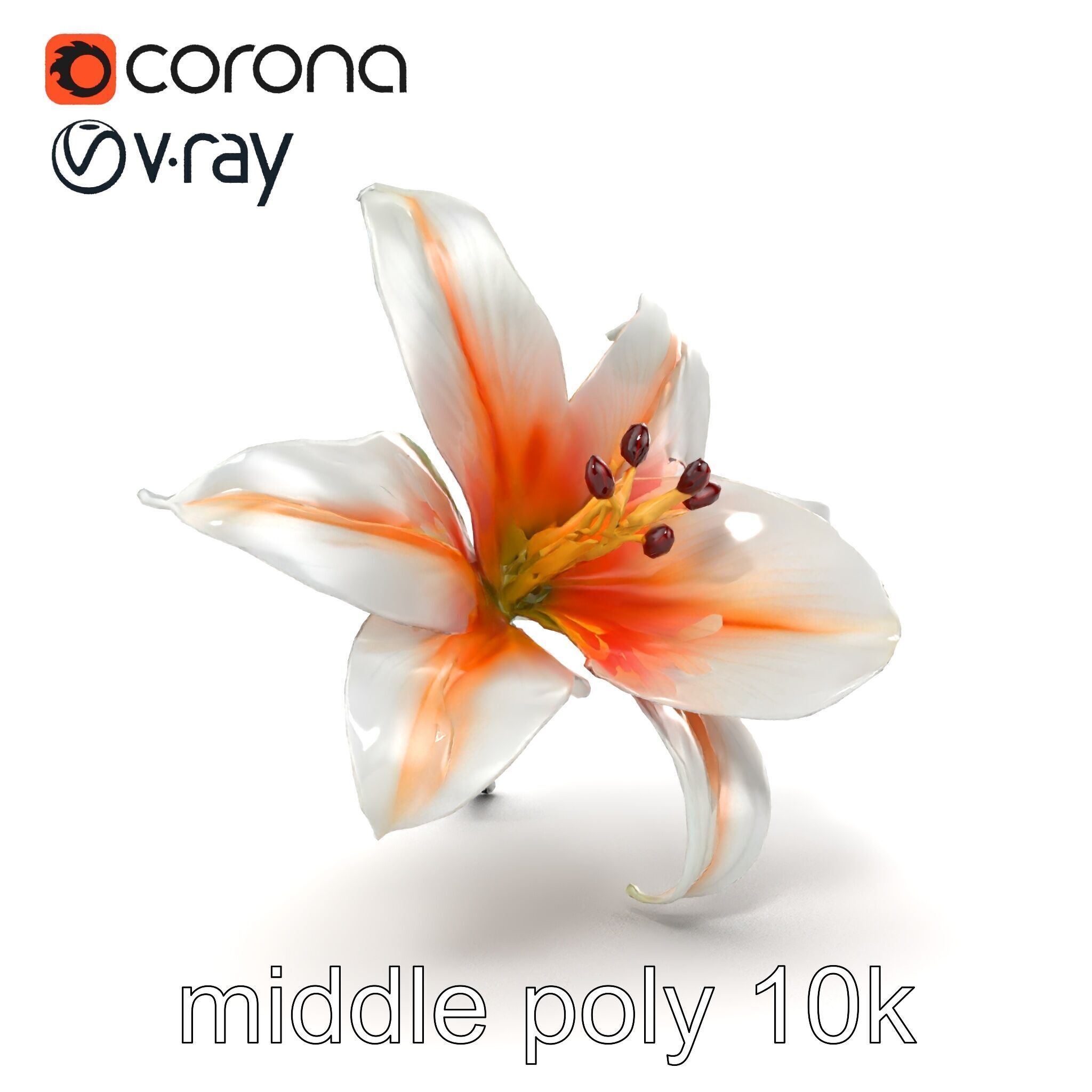 Oriental Lily Blossom 3D model pack Low-poly 3D model_17