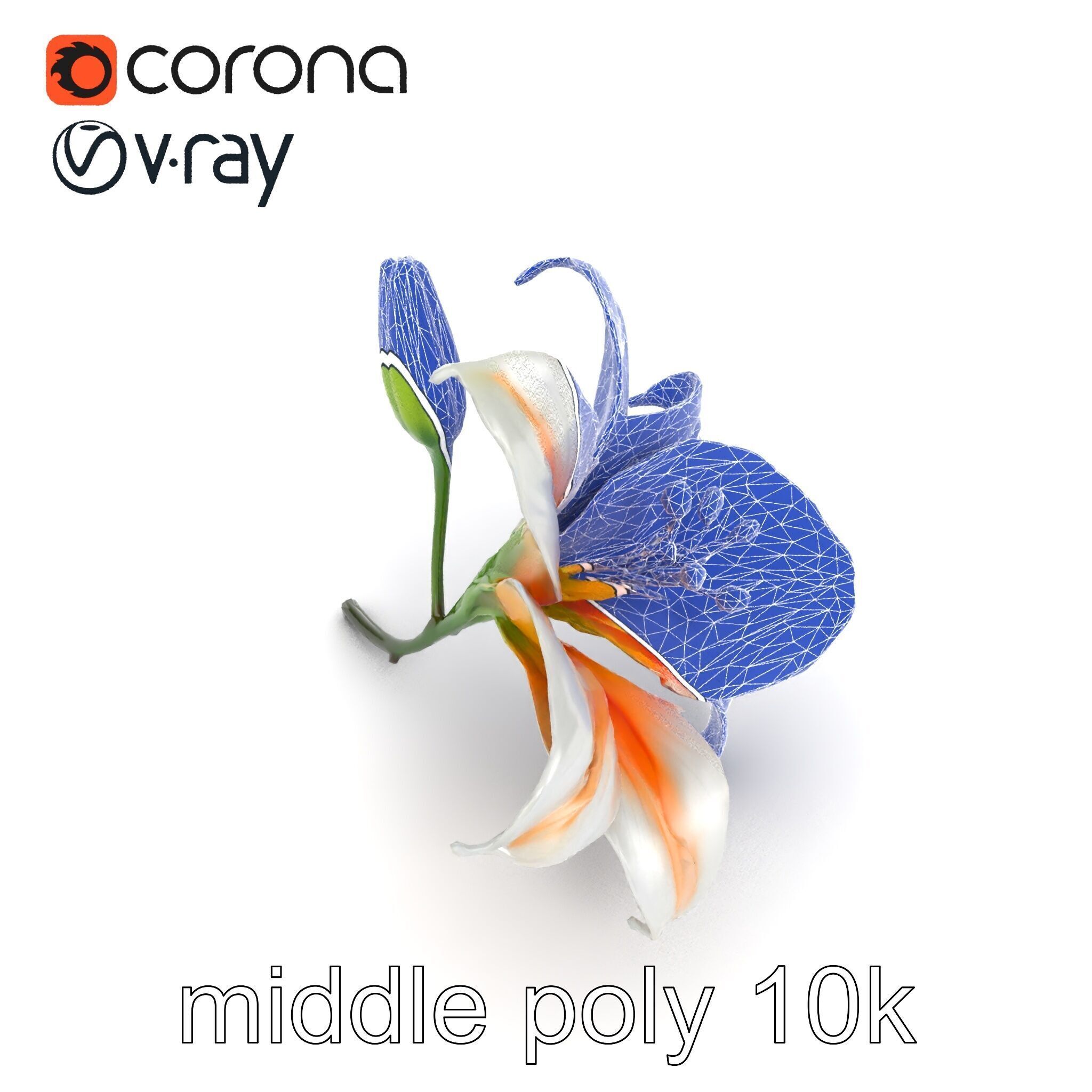 Oriental Lily Blossom 3D model pack Low-poly 3D model_21