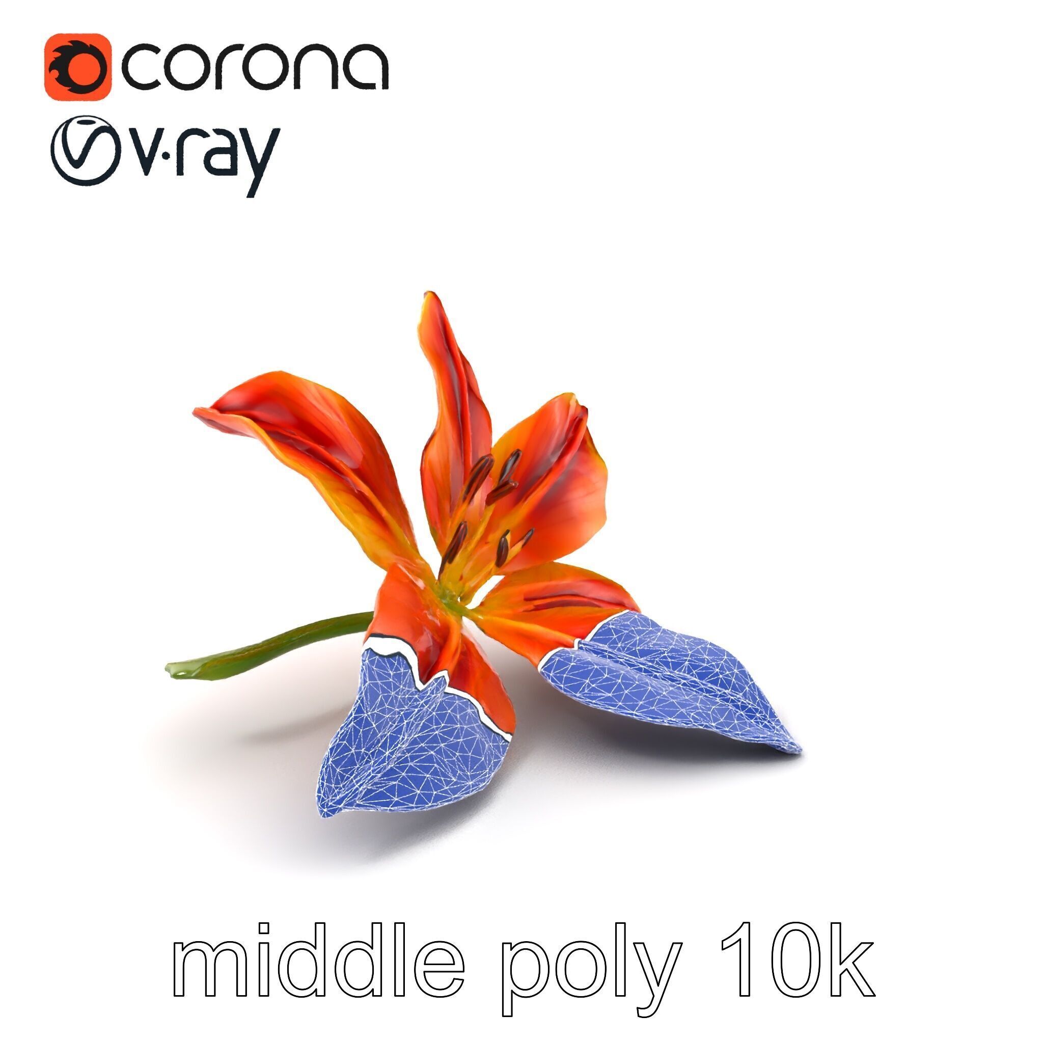 Asiatic Lily Bright Petal Texture model pack Low-poly 3D model_5