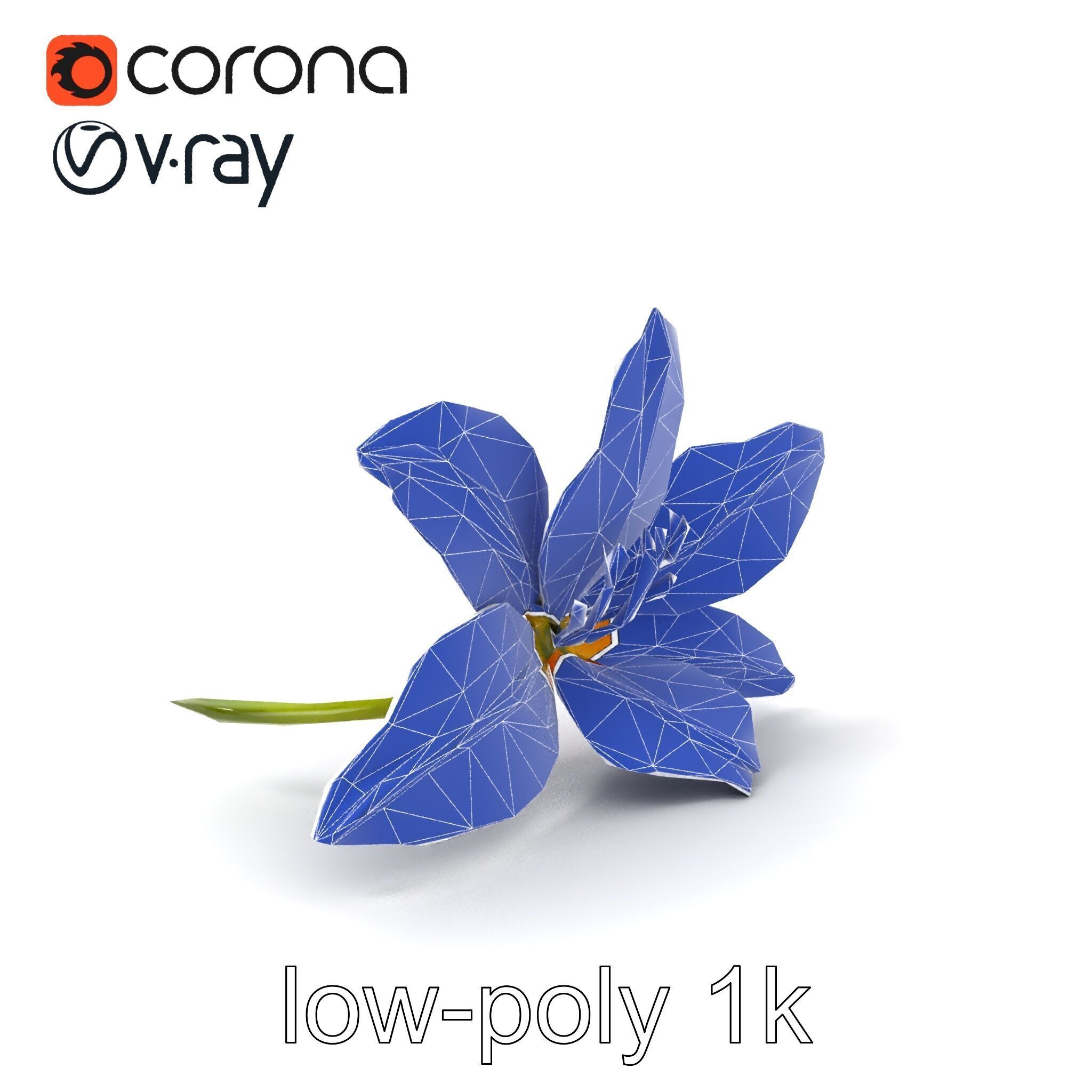 Asiatic Lily Bright Petal Texture model pack Low-poly 3D model_6