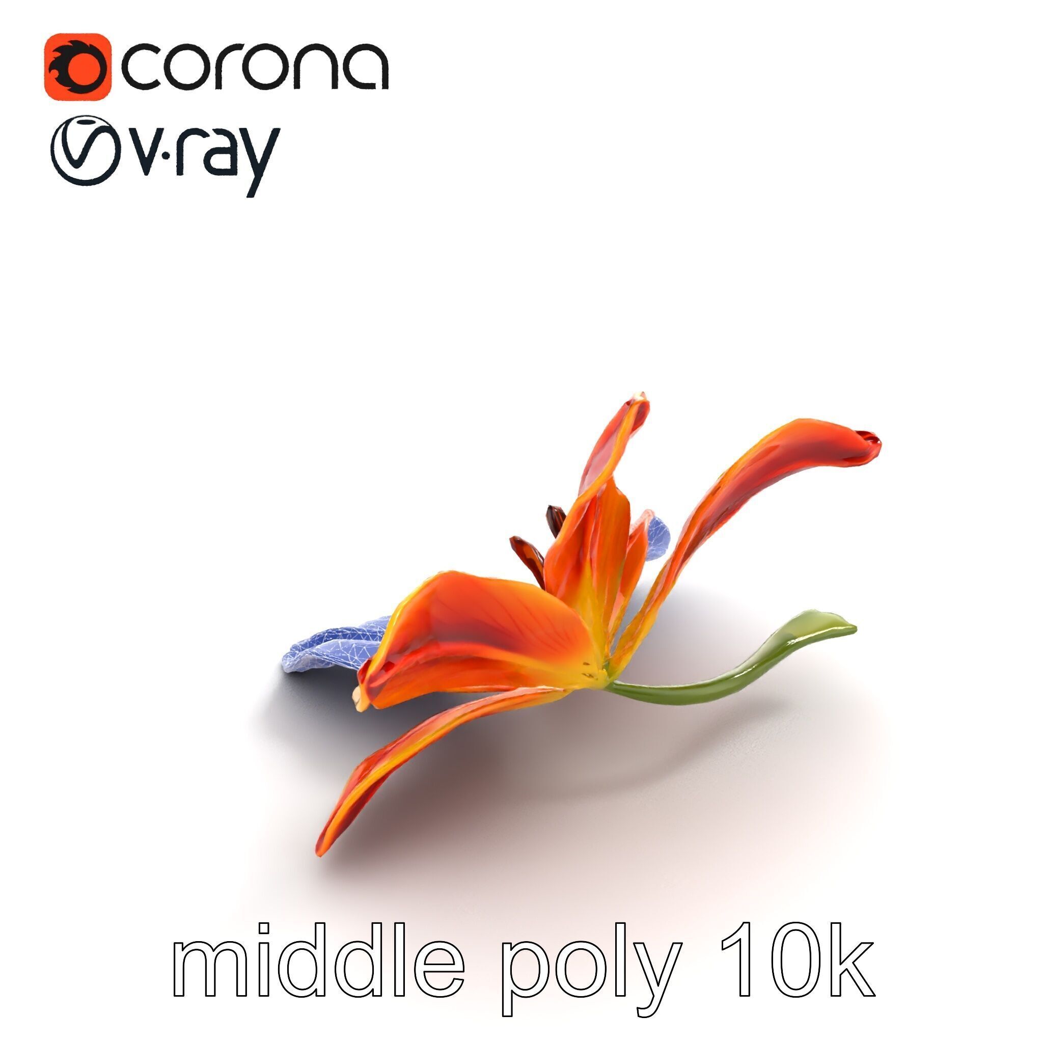 Asiatic Lily Bright Petal Texture model pack Low-poly 3D model_11