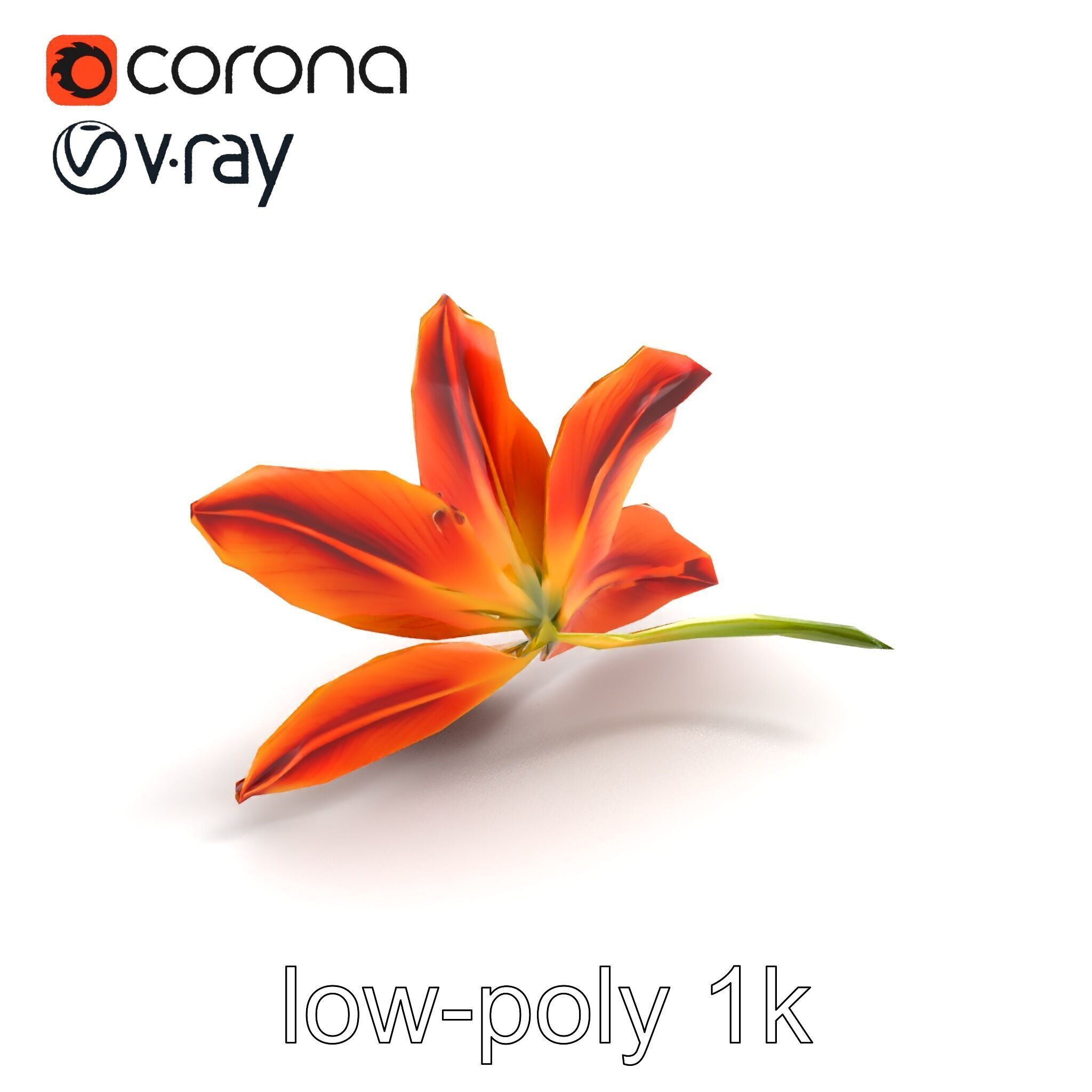 Asiatic Lily Bright Petal Texture model pack Low-poly 3D model_8