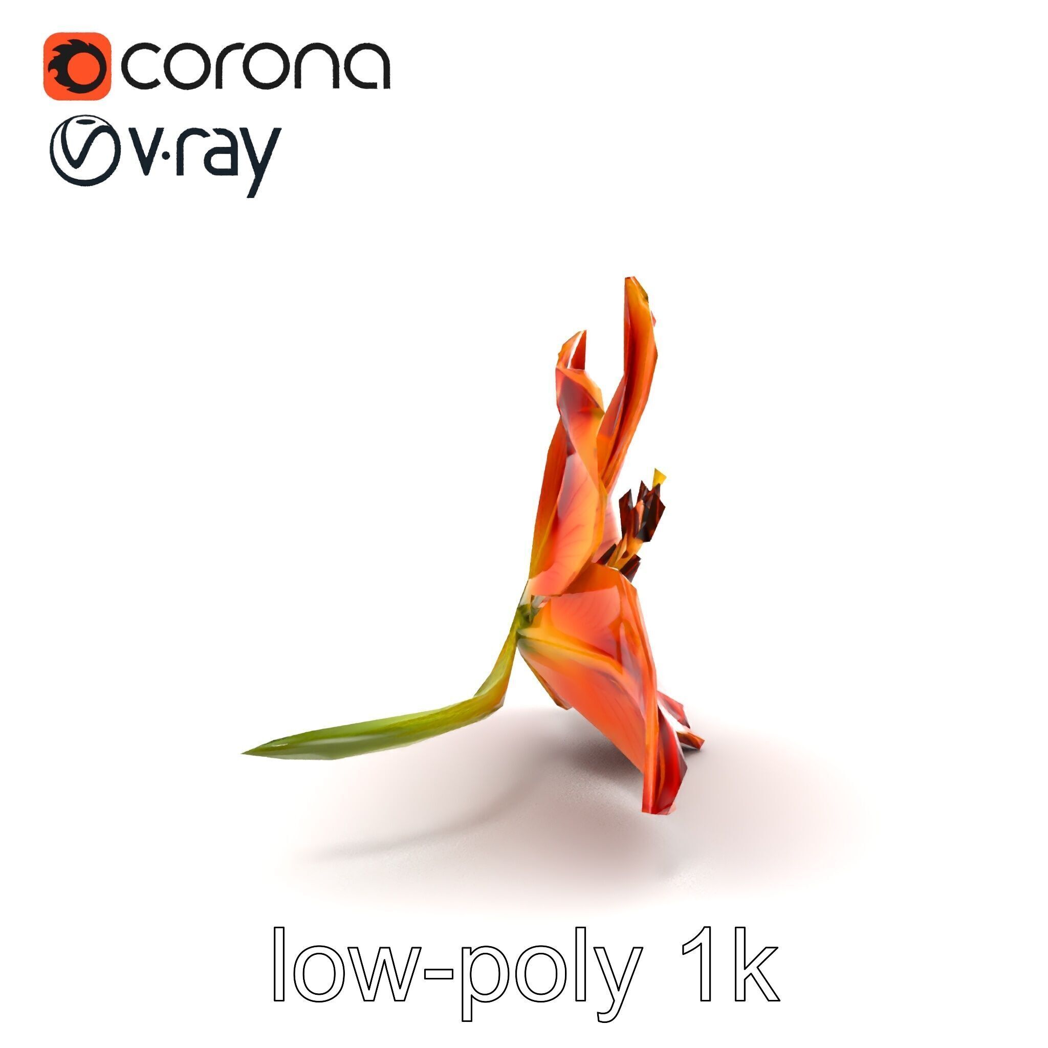 Asiatic Lily Bright Petal Texture model pack Low-poly 3D model_16