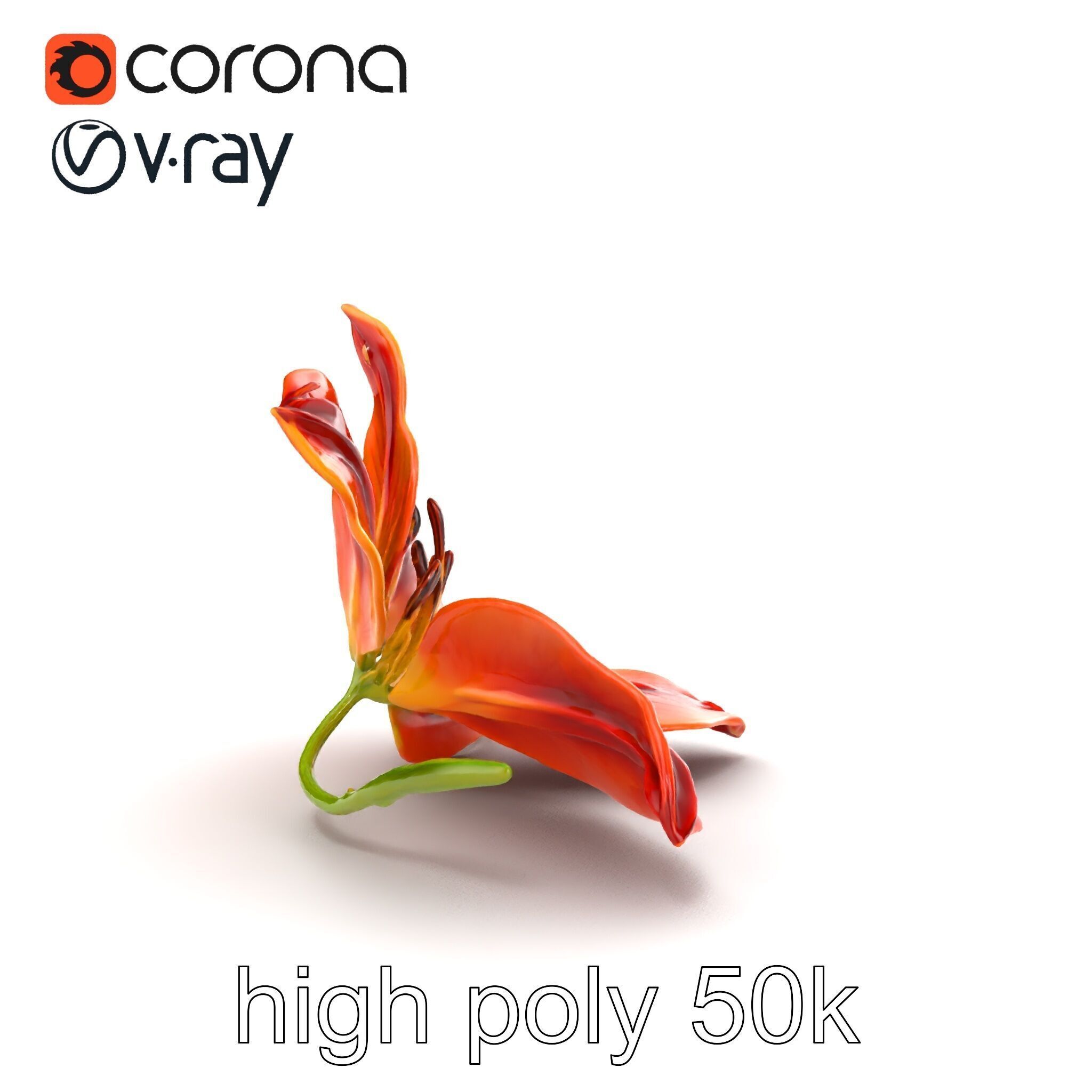 Asiatic Lily Bright Petal Texture model pack Low-poly 3D model_12