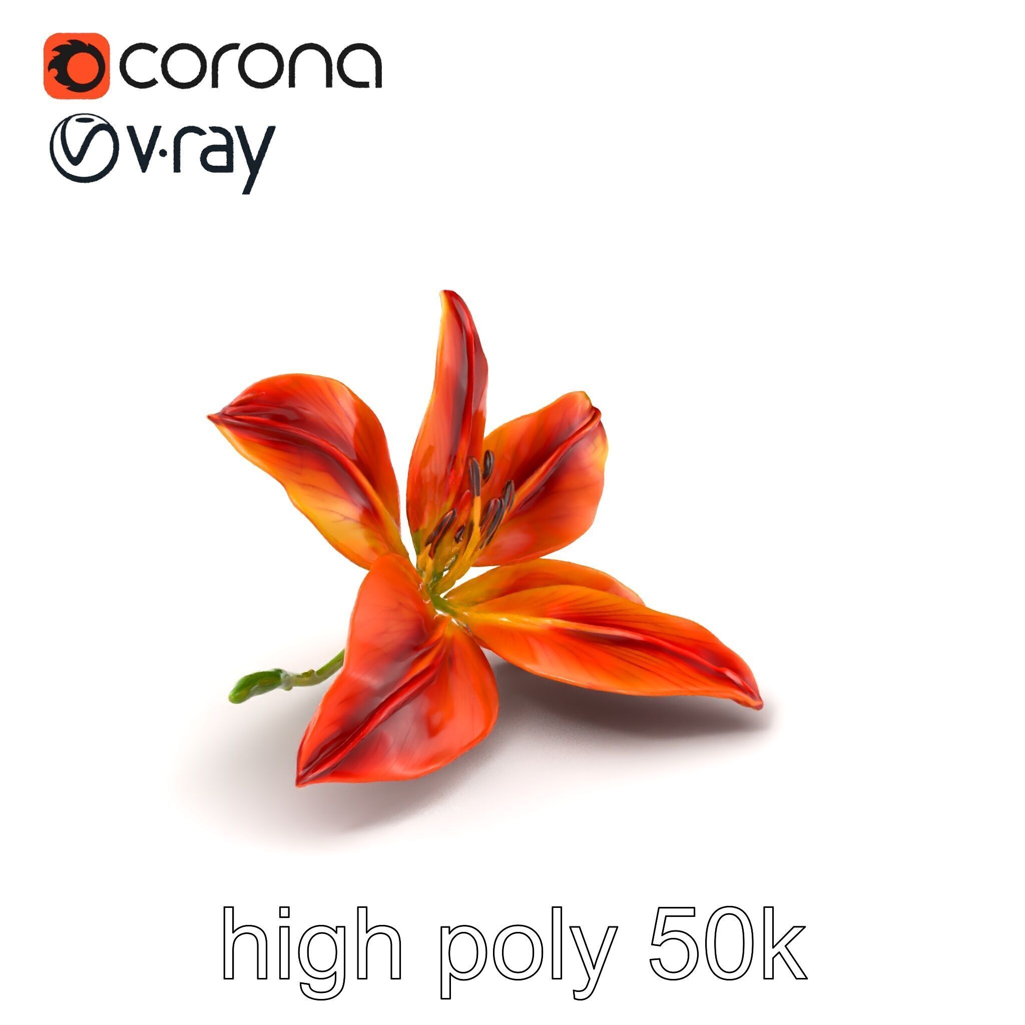 Asiatic Lily Bright Petal Texture model pack Low-poly 3D model_2