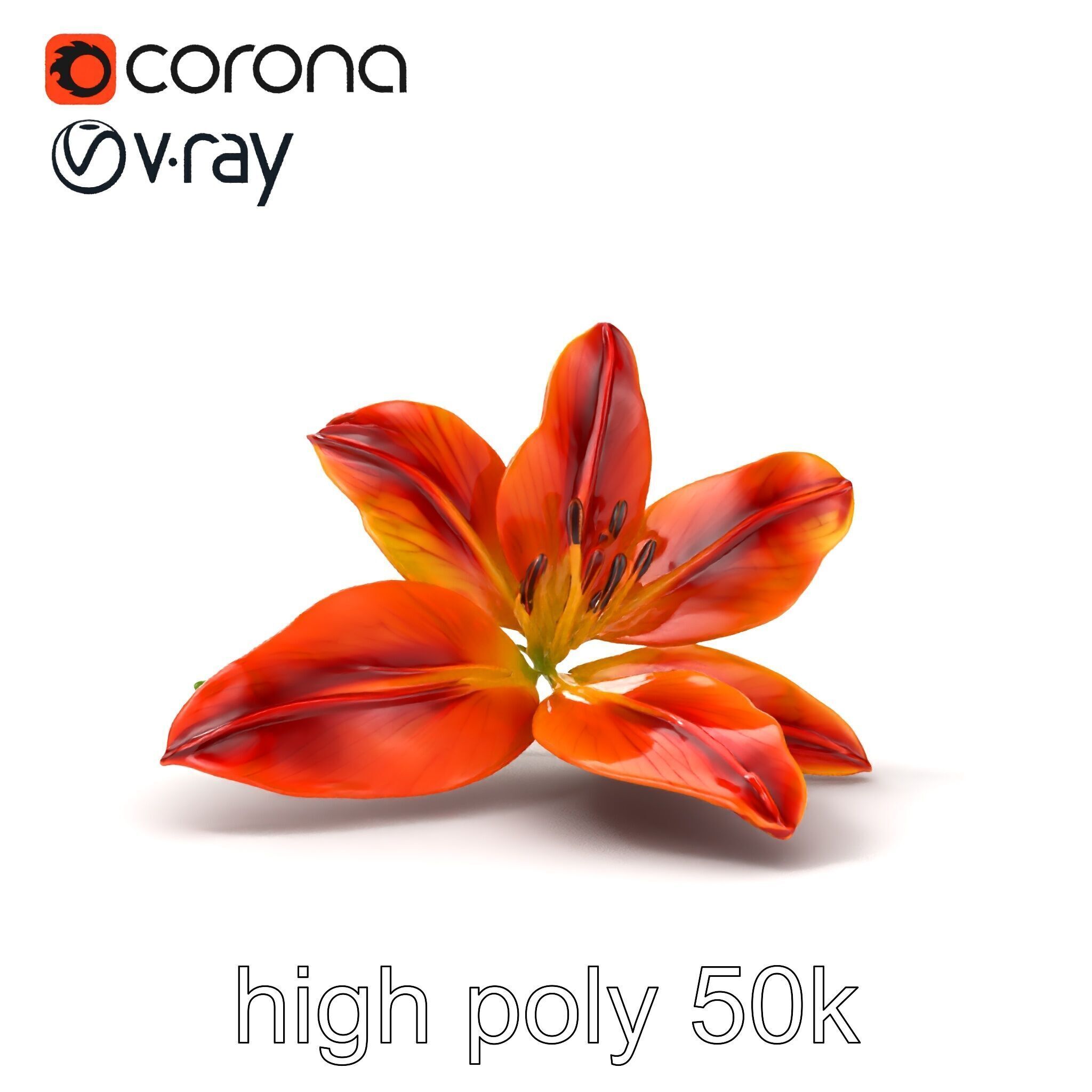 Asiatic Lily Bright Petal Texture model pack Low-poly 3D model_23