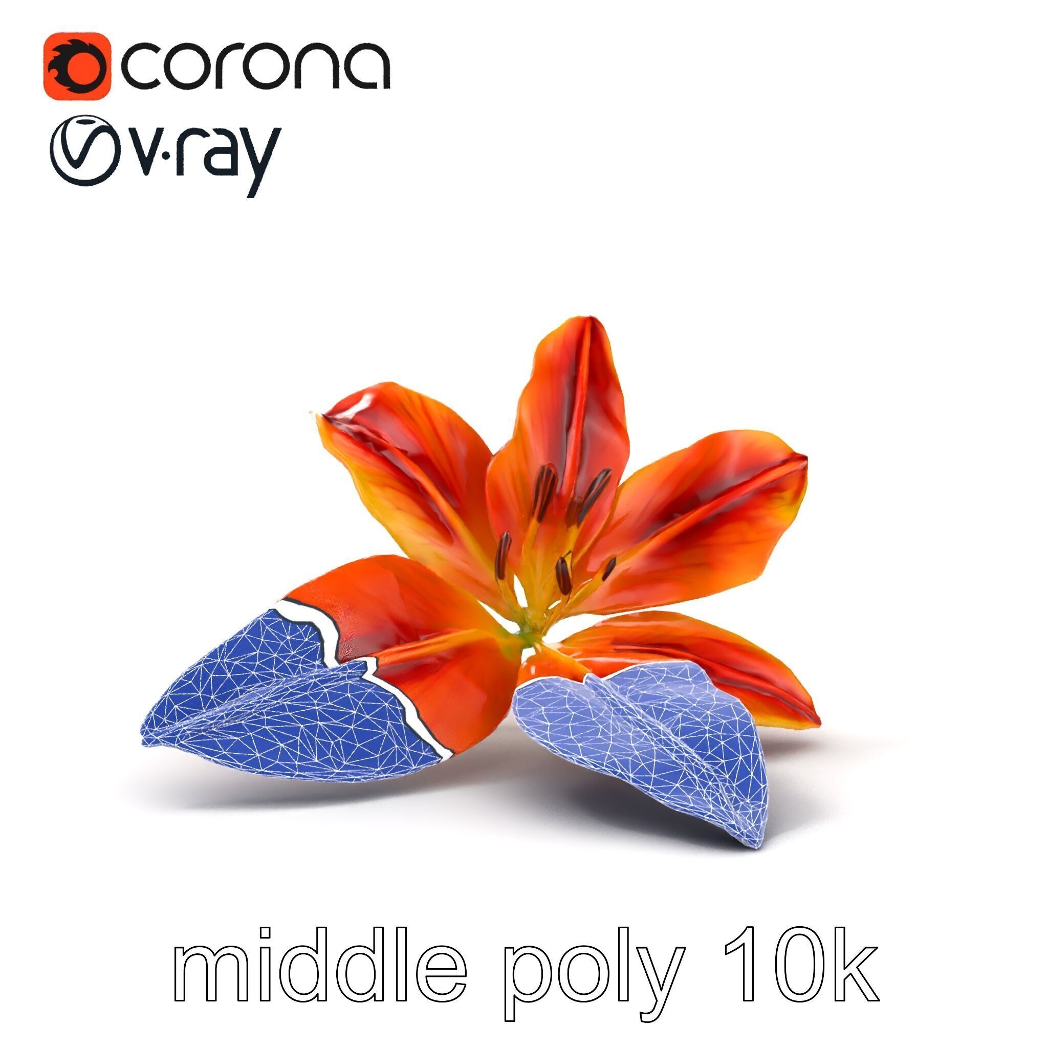Asiatic Lily Bright Petal Texture model pack Low-poly 3D model_13