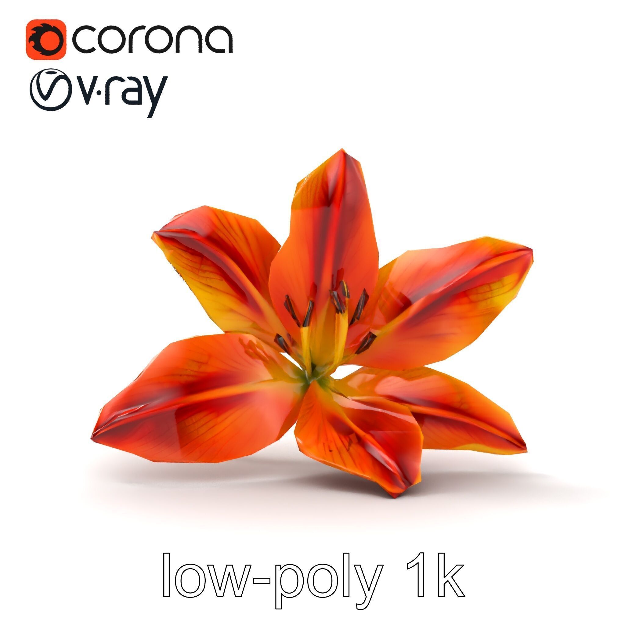 Asiatic Lily Bright Petal Texture model pack Low-poly 3D model_10