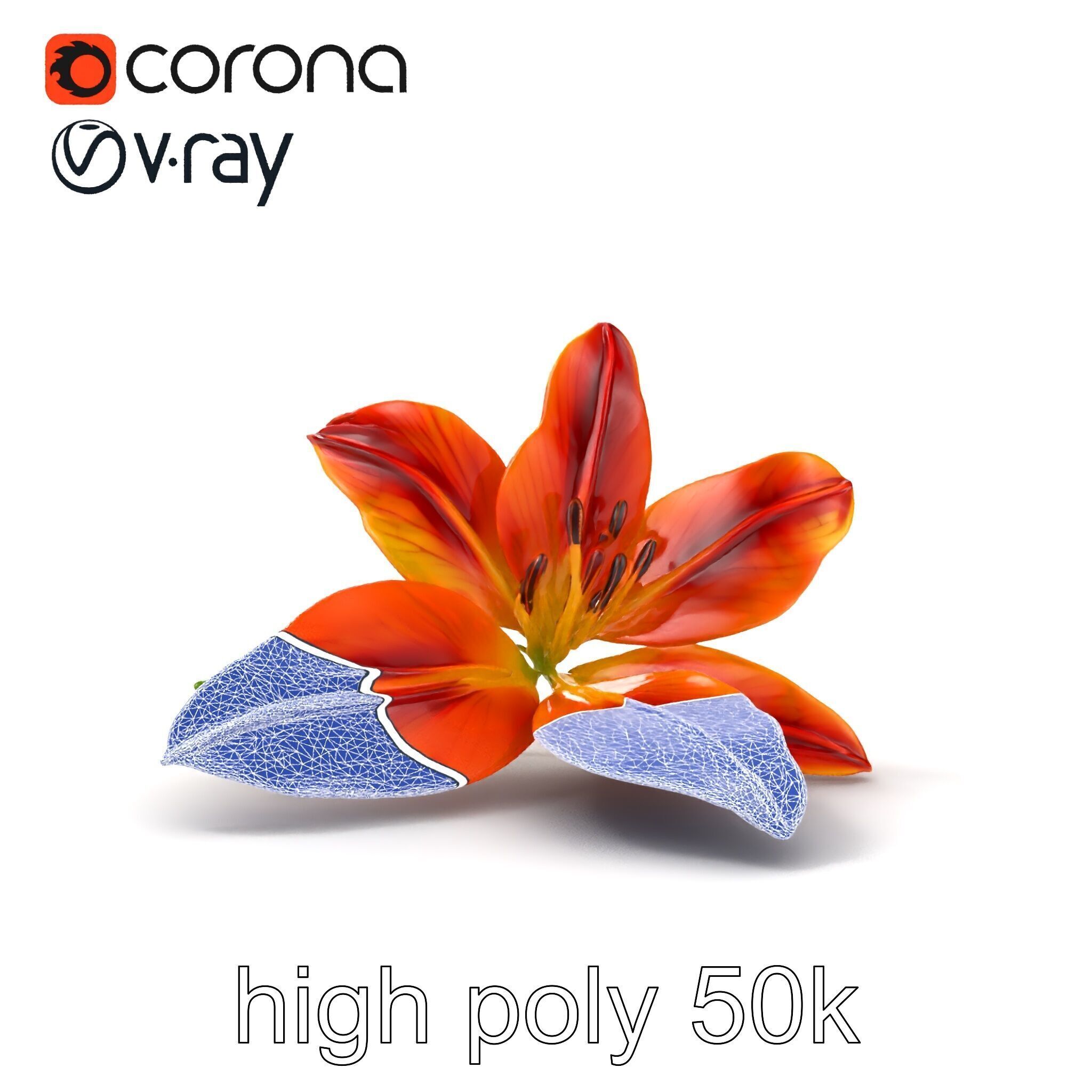 Asiatic Lily Bright Petal Texture model pack Low-poly 3D model_28