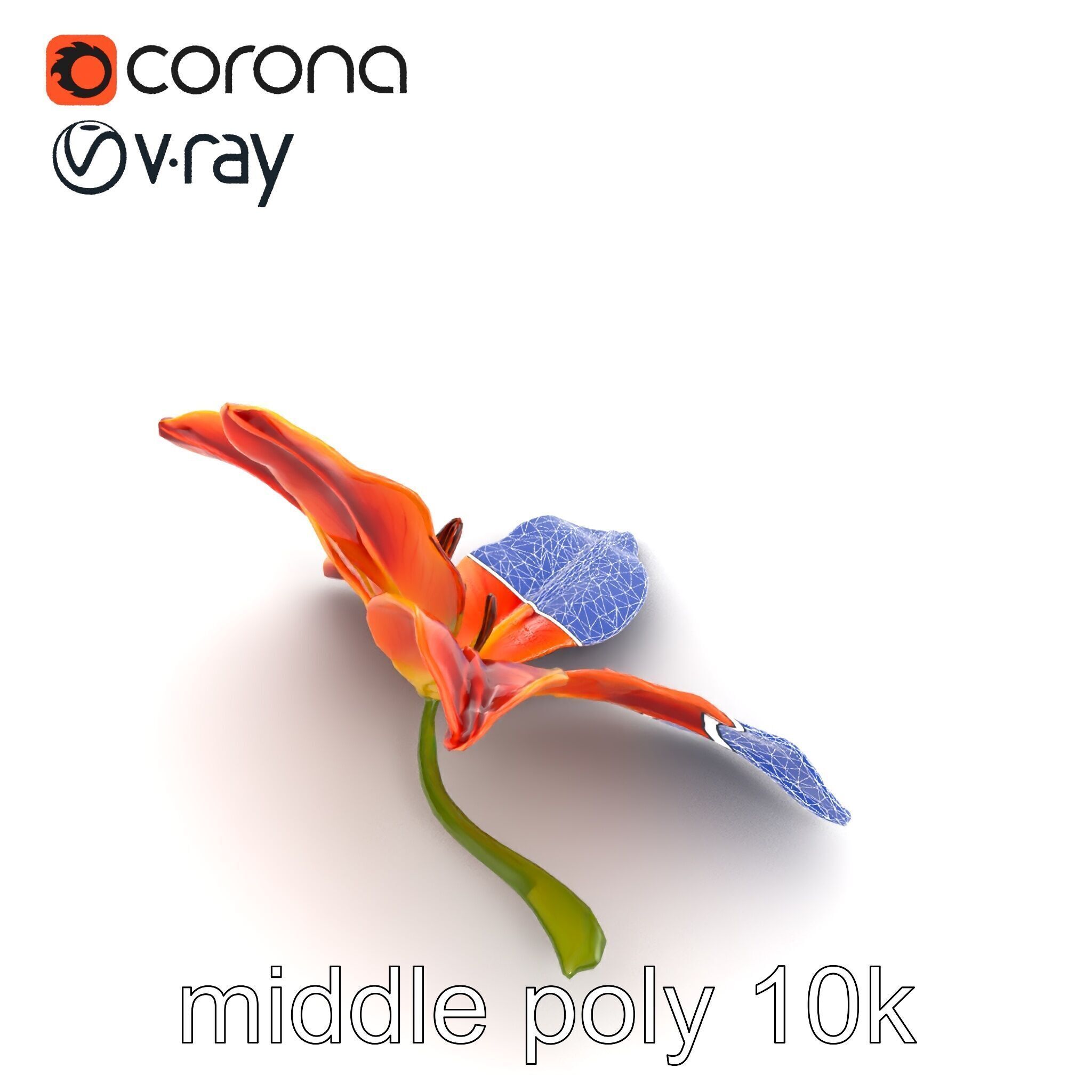 Asiatic Lily Bright Petal Texture model pack Low-poly 3D model_14